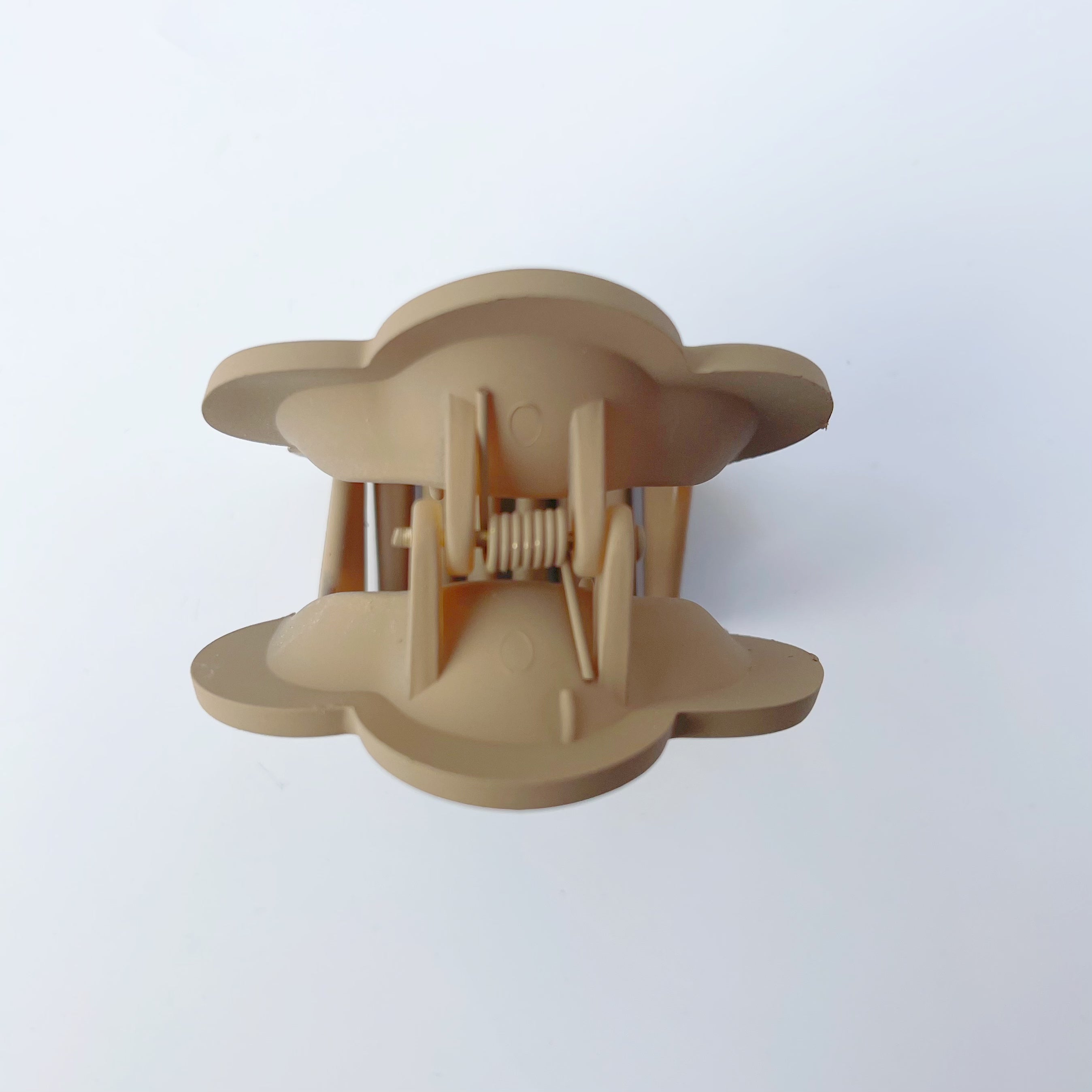 Chestnut Camellia Claw