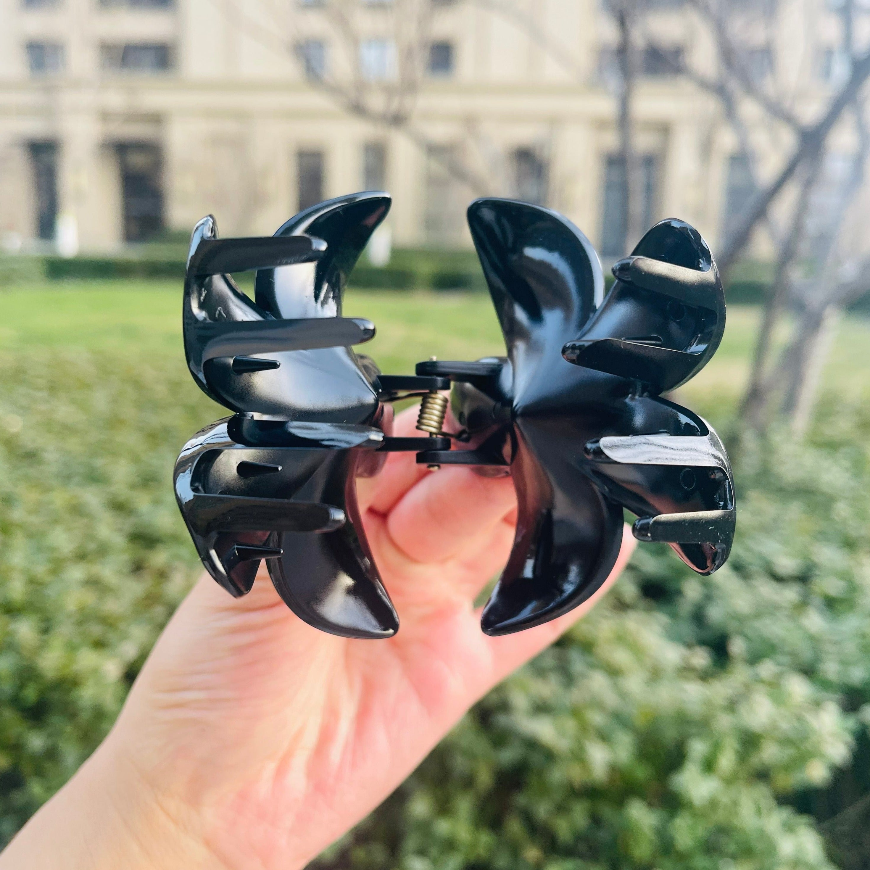 Frangipani Flower Claw In Black