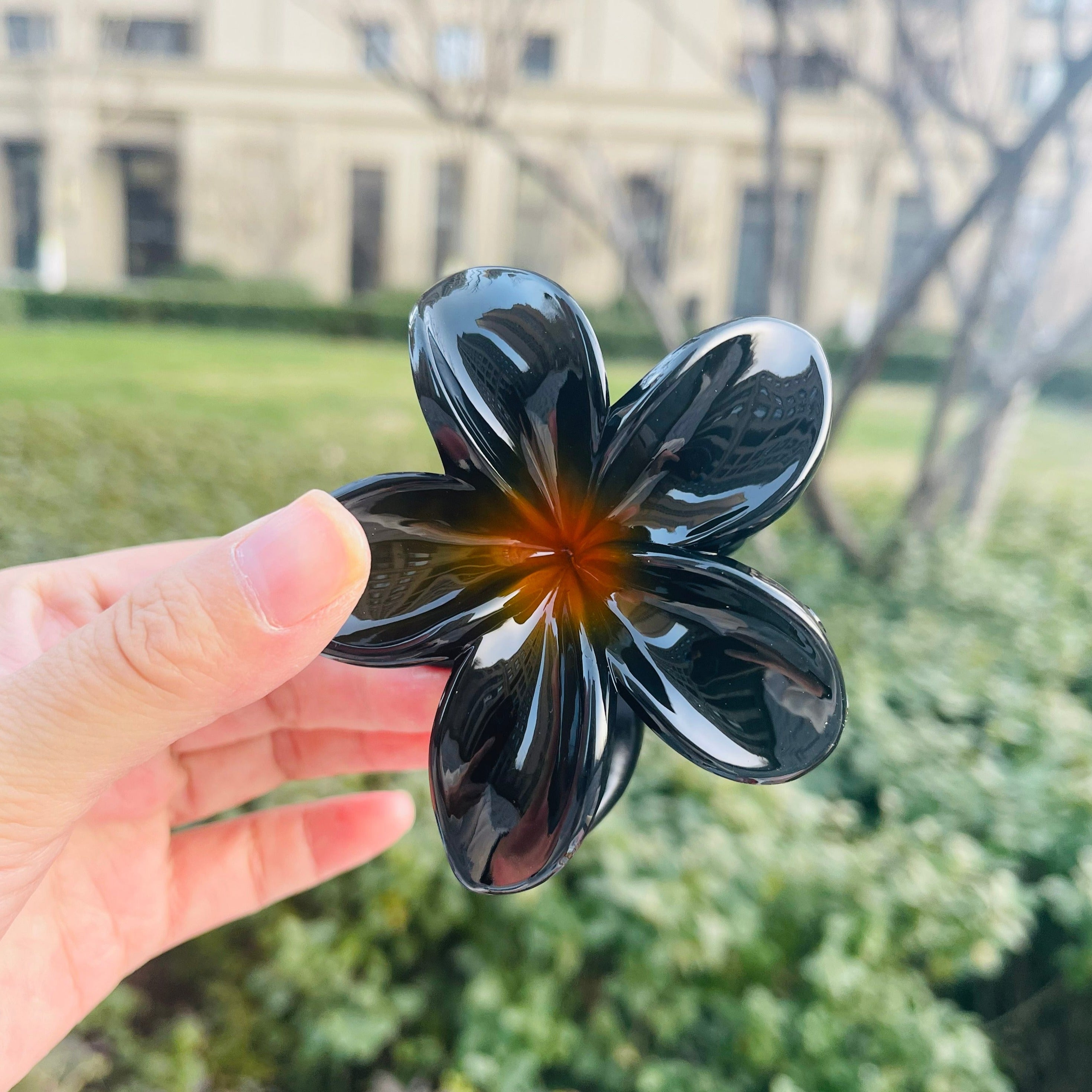 Frangipani Flower Claw In Black