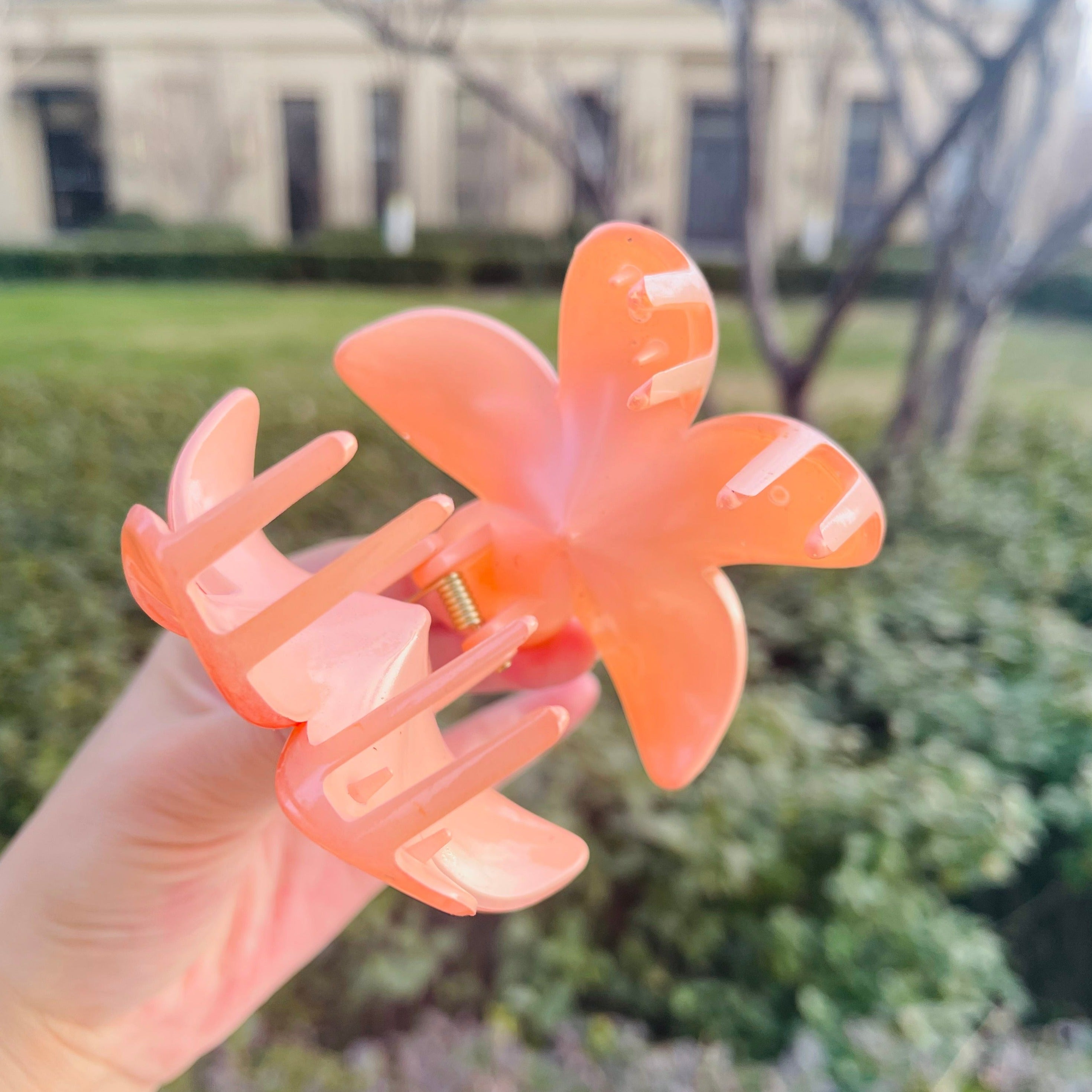 Frangipani Flower Claw In Pink