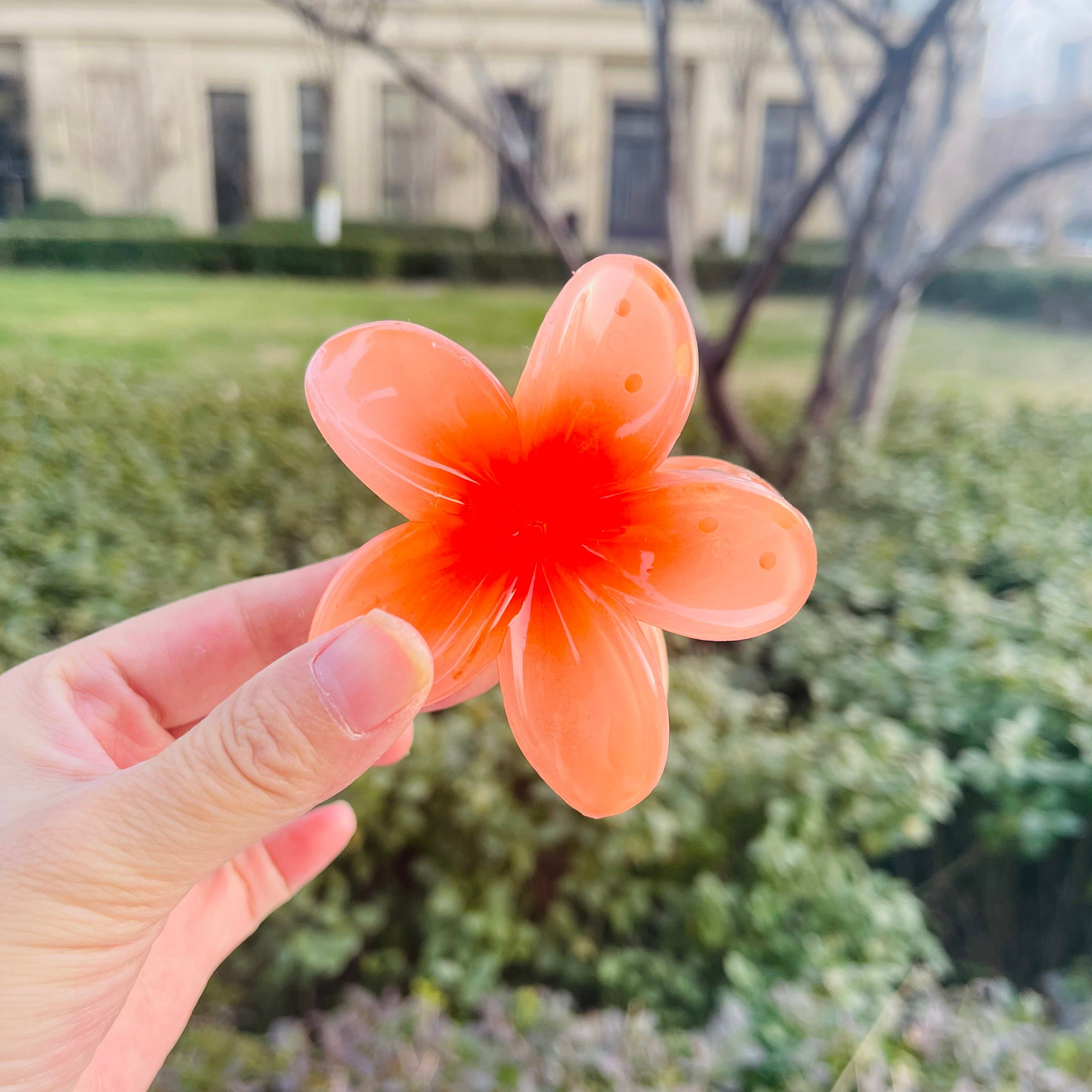 Frangipani Flower Claw In Pink