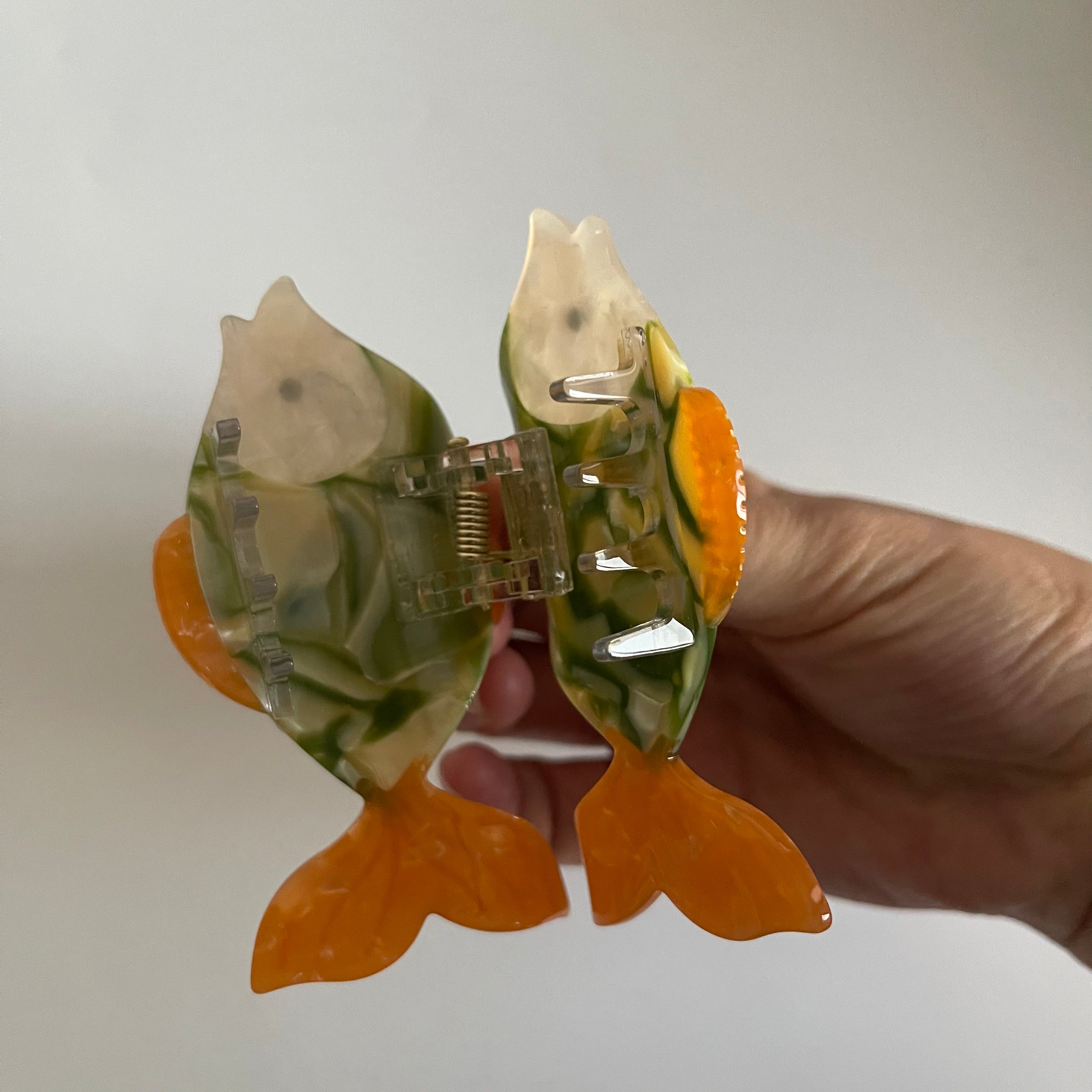 Goldfish Claw Within Orange