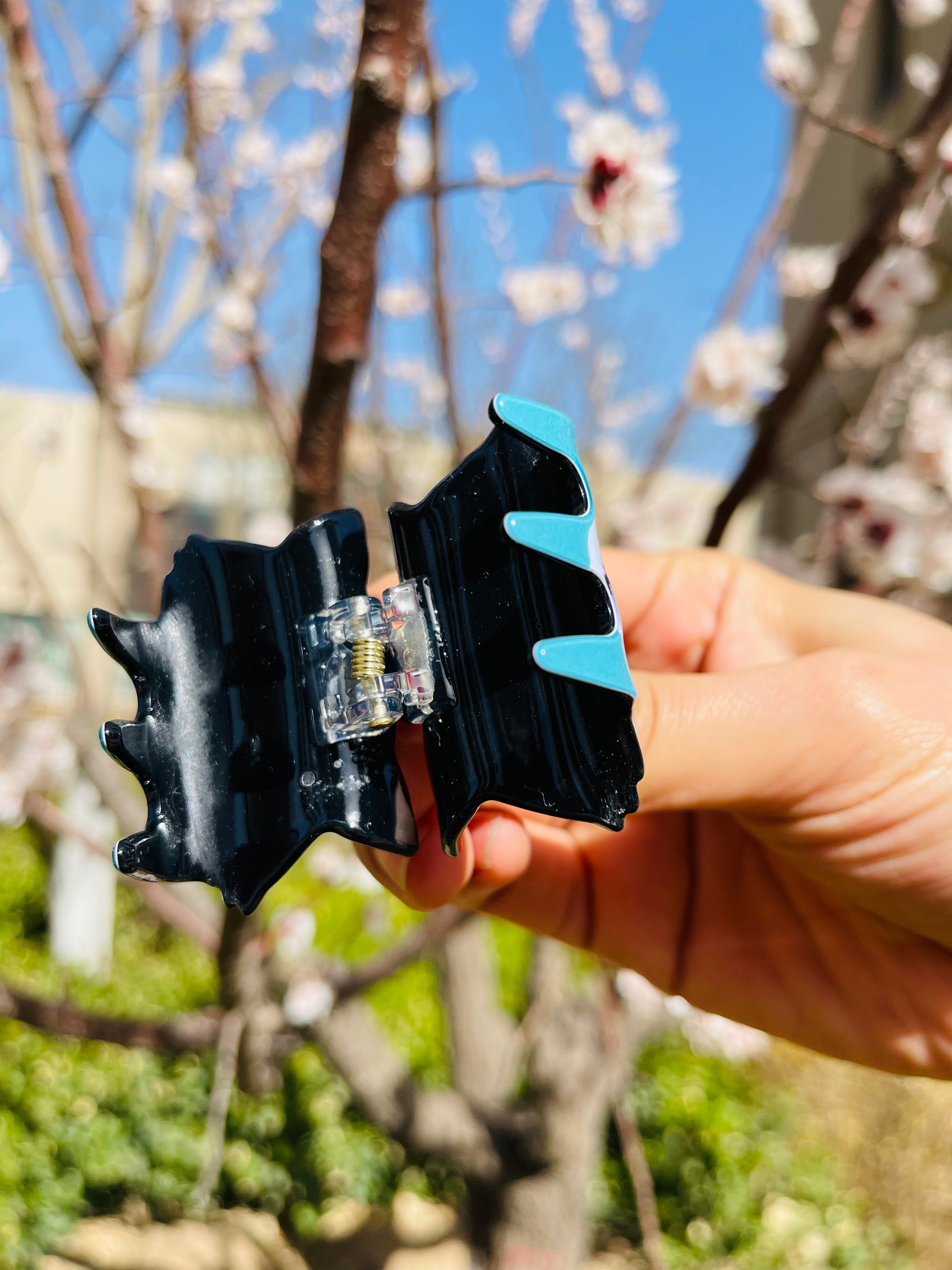 Cute fox prince claw