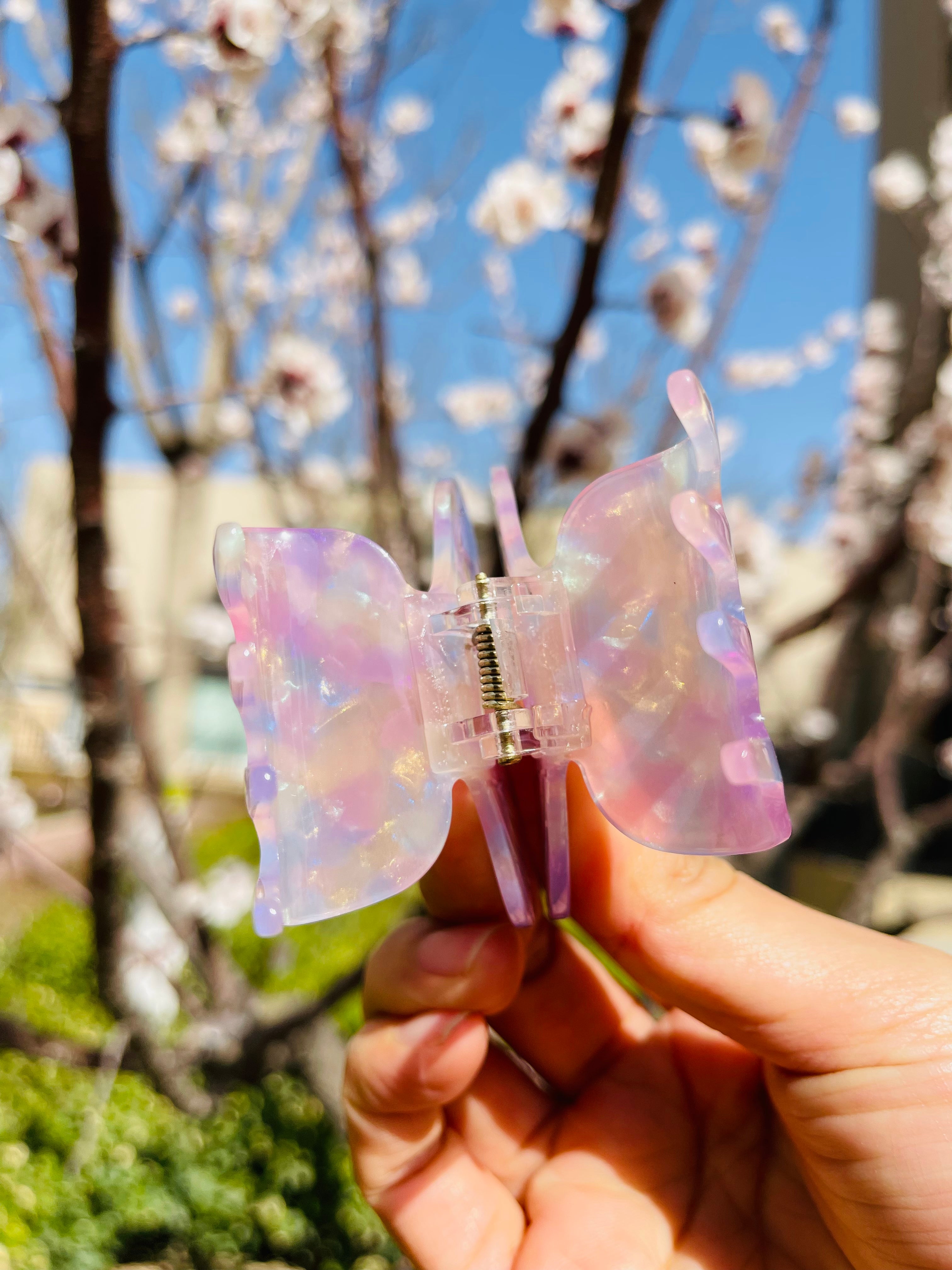 Dazzling butterfly claw