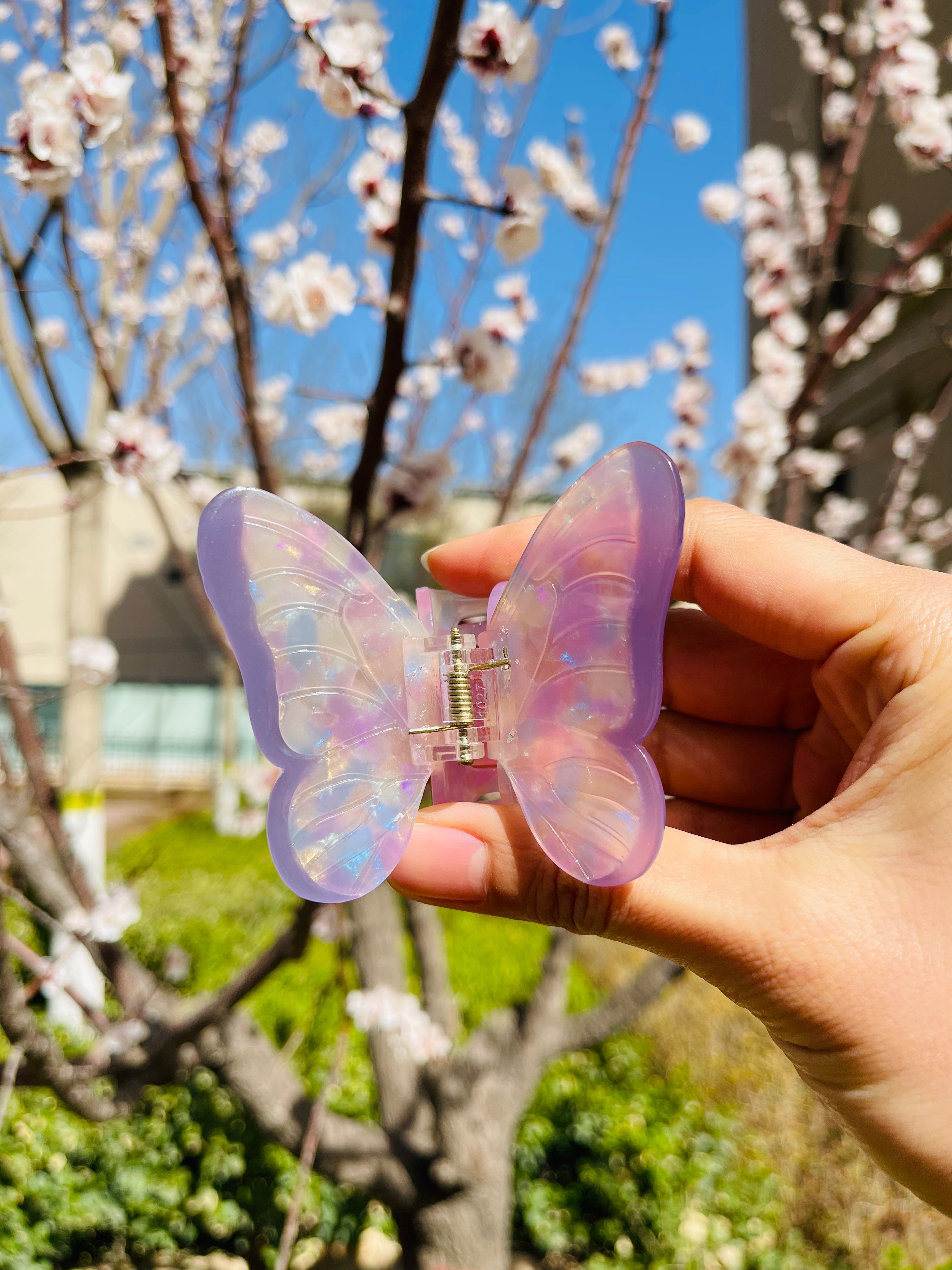 Dazzling butterfly claw