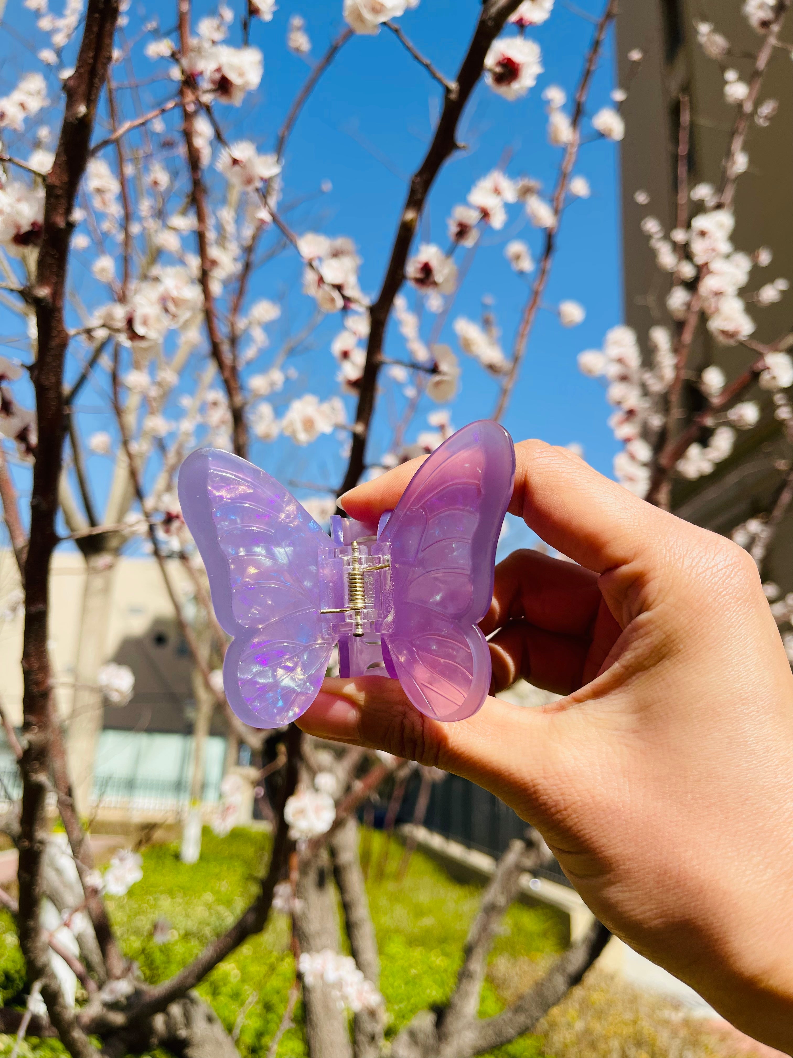 Purple butterfly claw