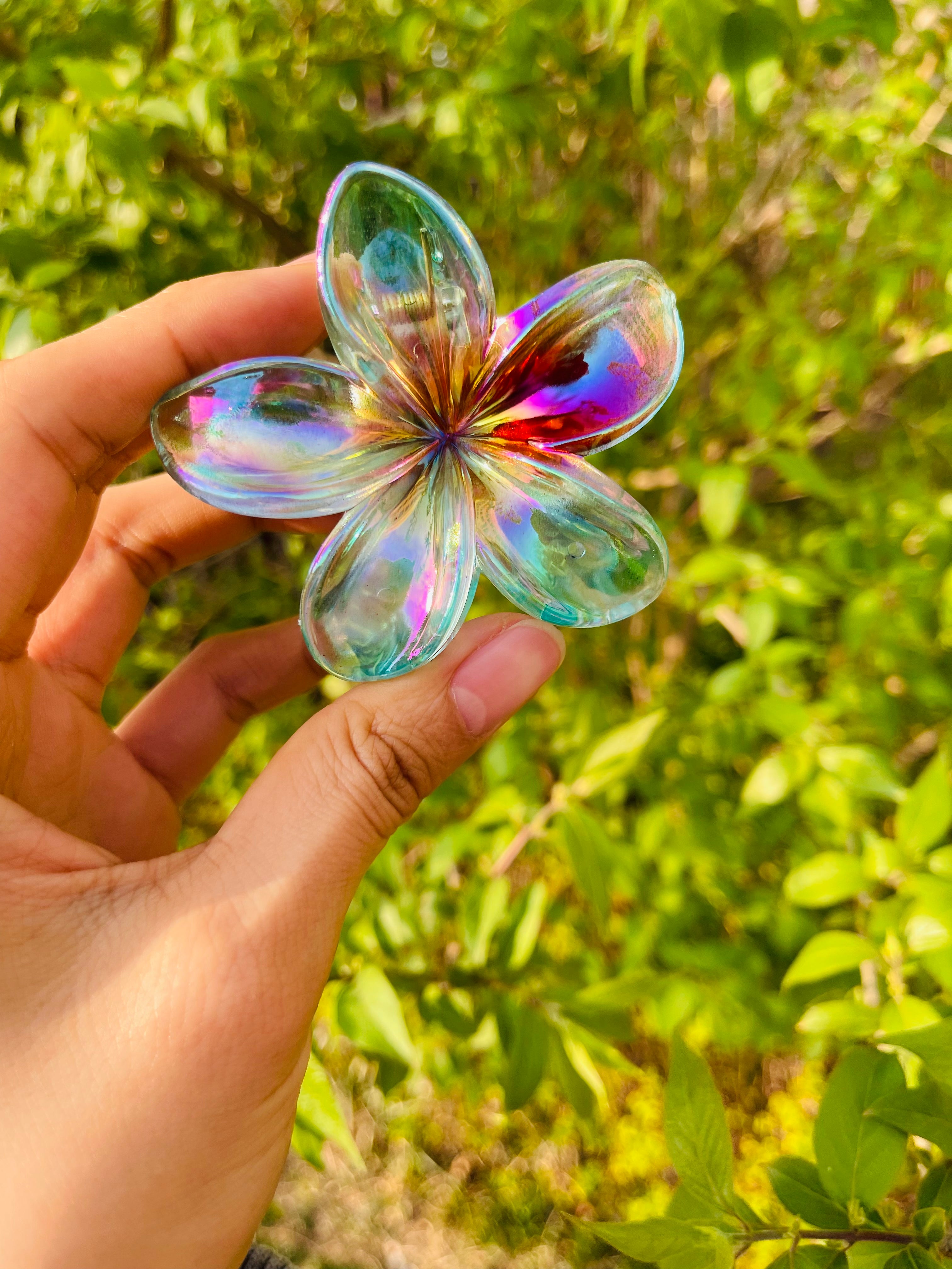 Colorful Plumeria claw within Blue