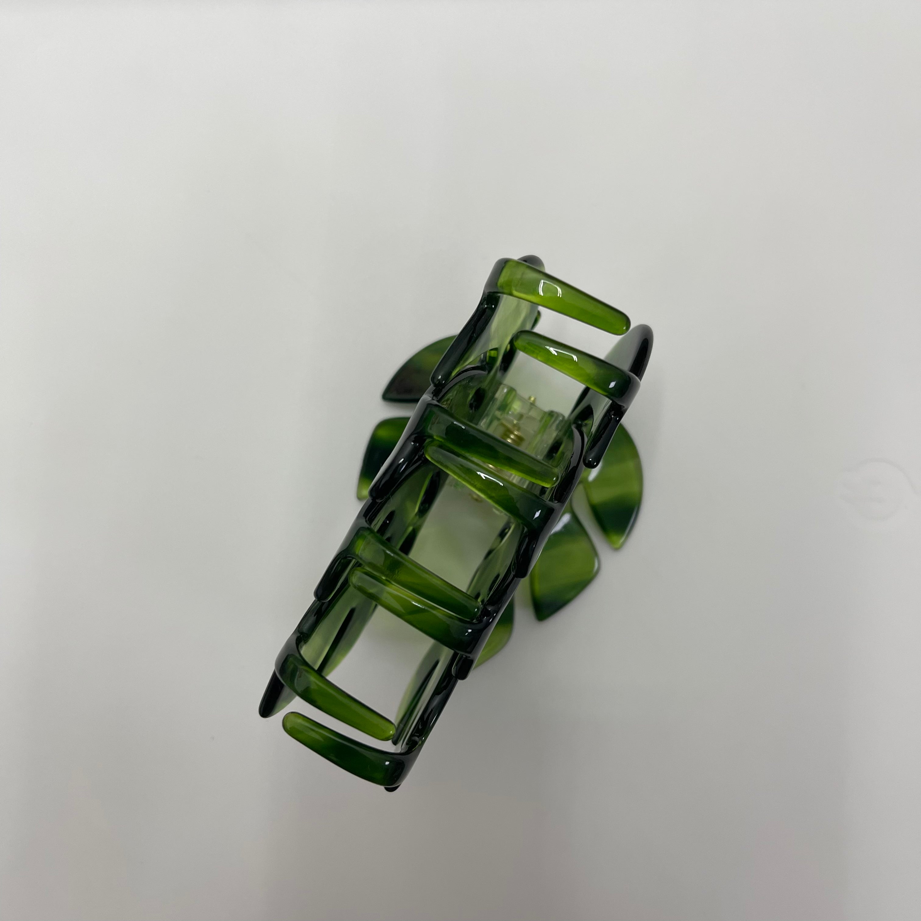 Monstera deliciosa Liebm Claw (New version)