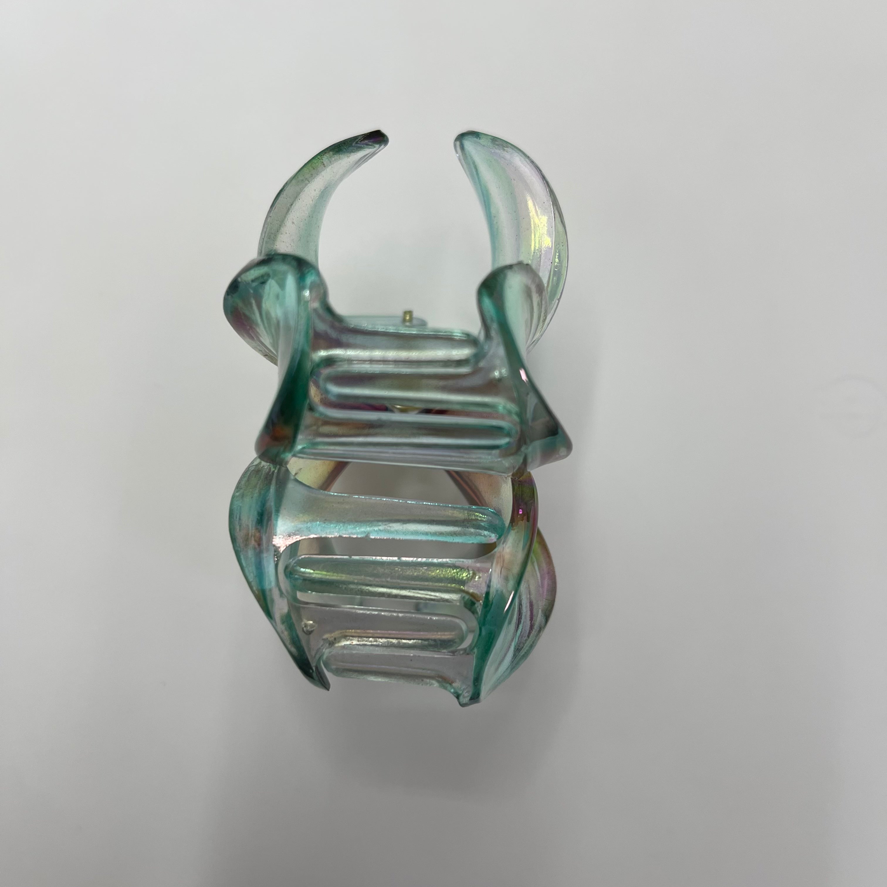 Colorful Plumeria claw within Blue