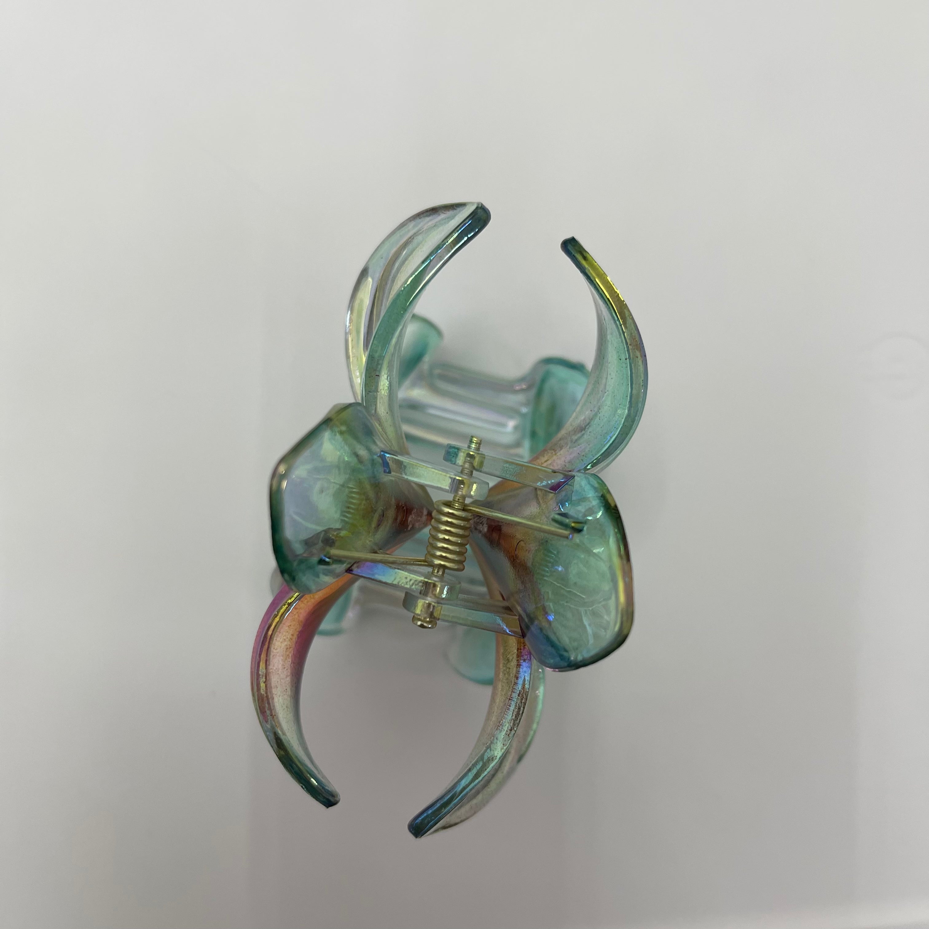 Colorful Plumeria claw within Blue