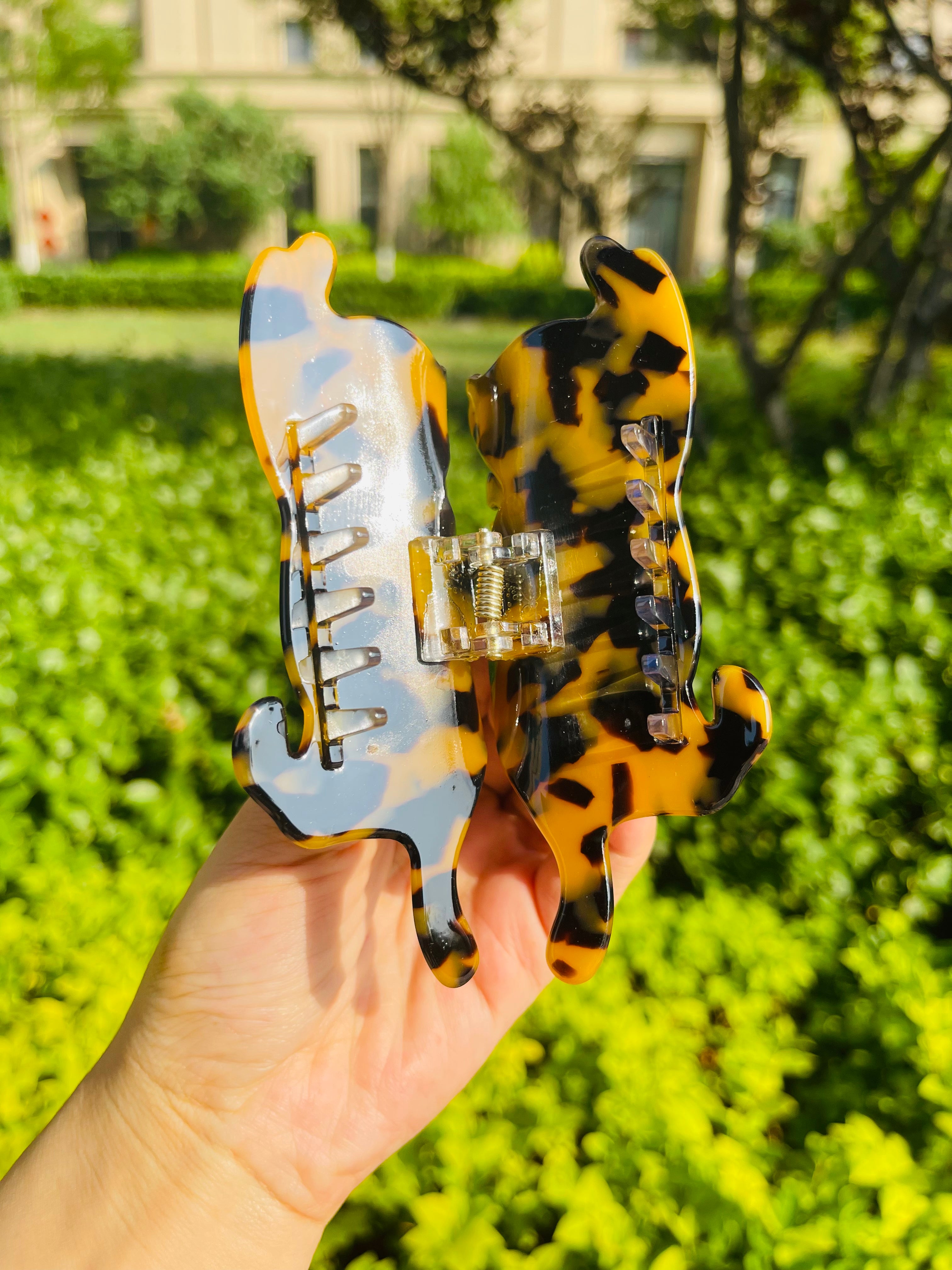 Strechy Cat Claw in Tea