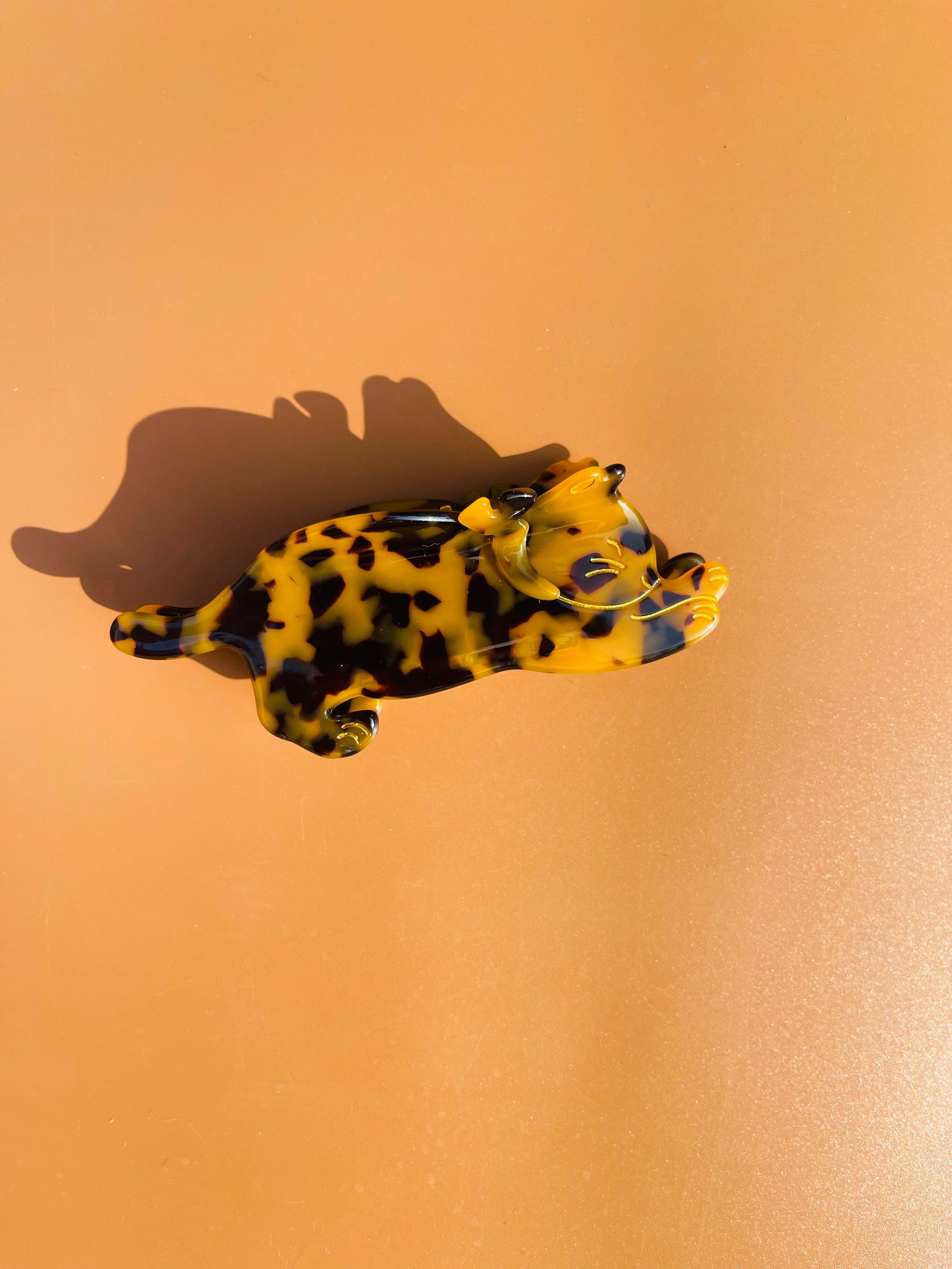 Strechy Cat Claw in Tea