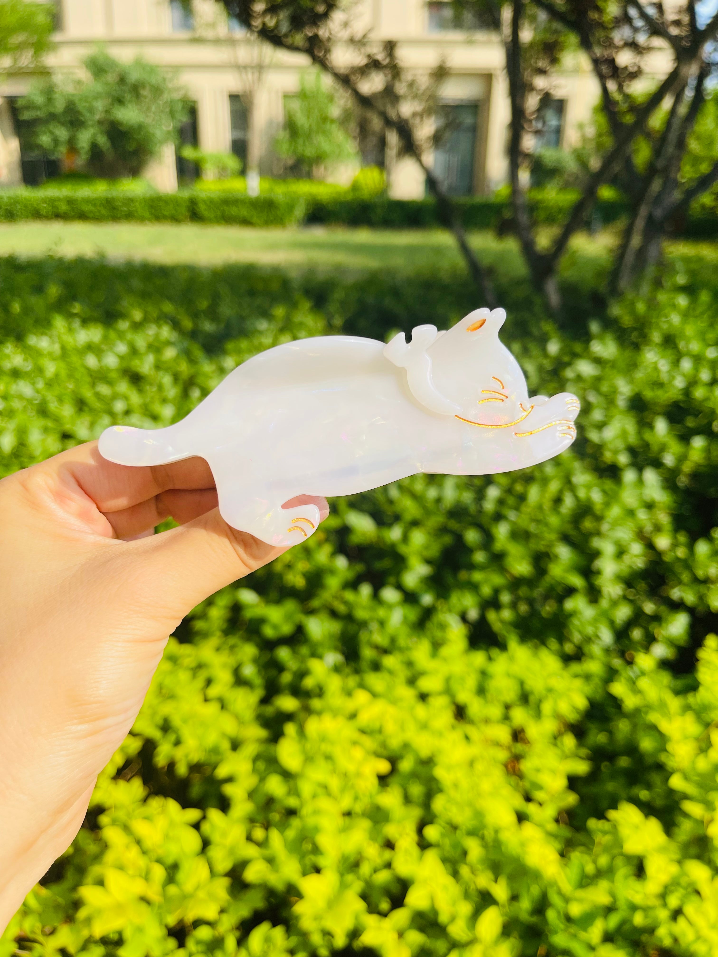 Strechy Cat Claw in Snow