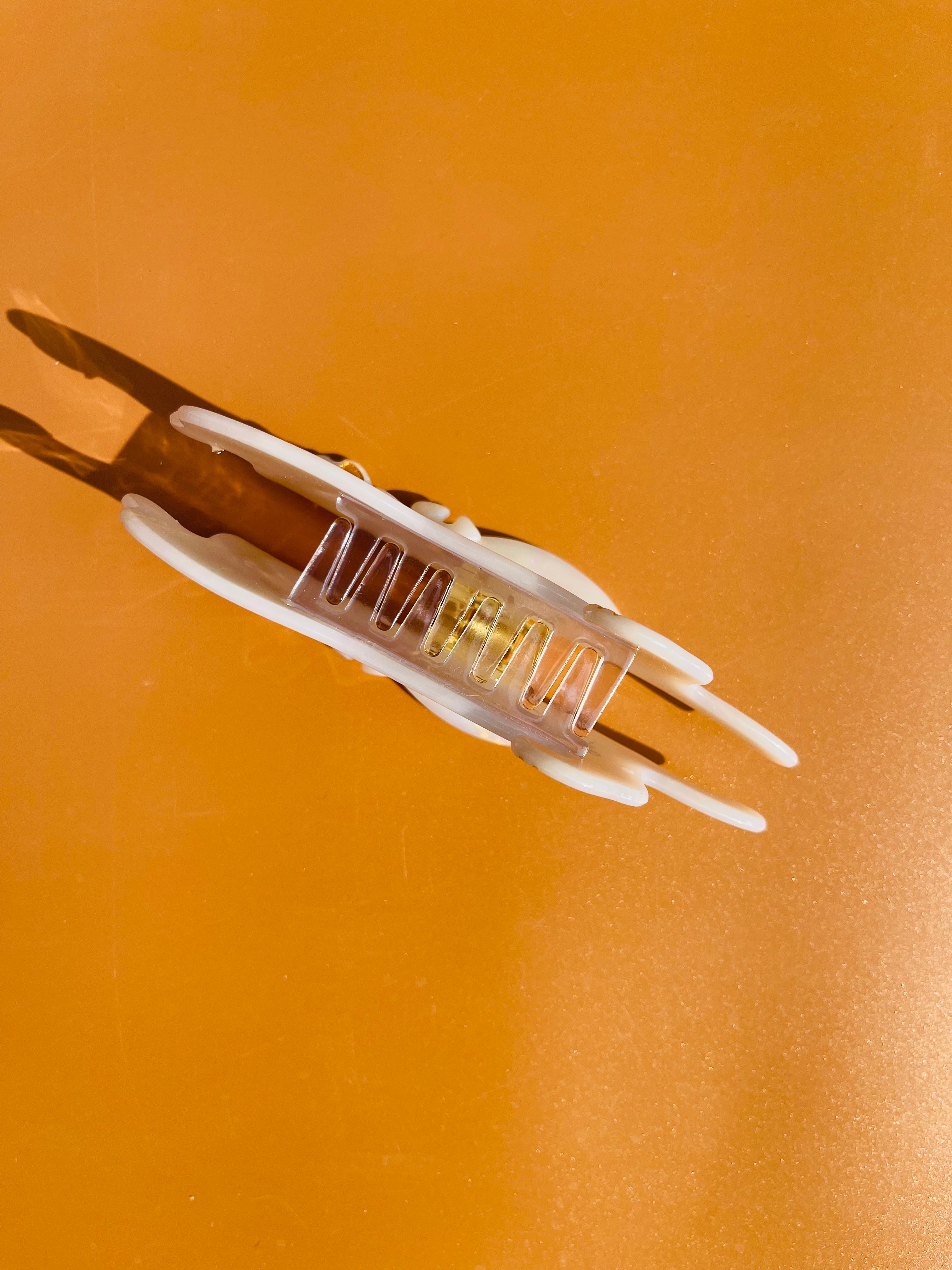 Strechy Cat Claw in Snow