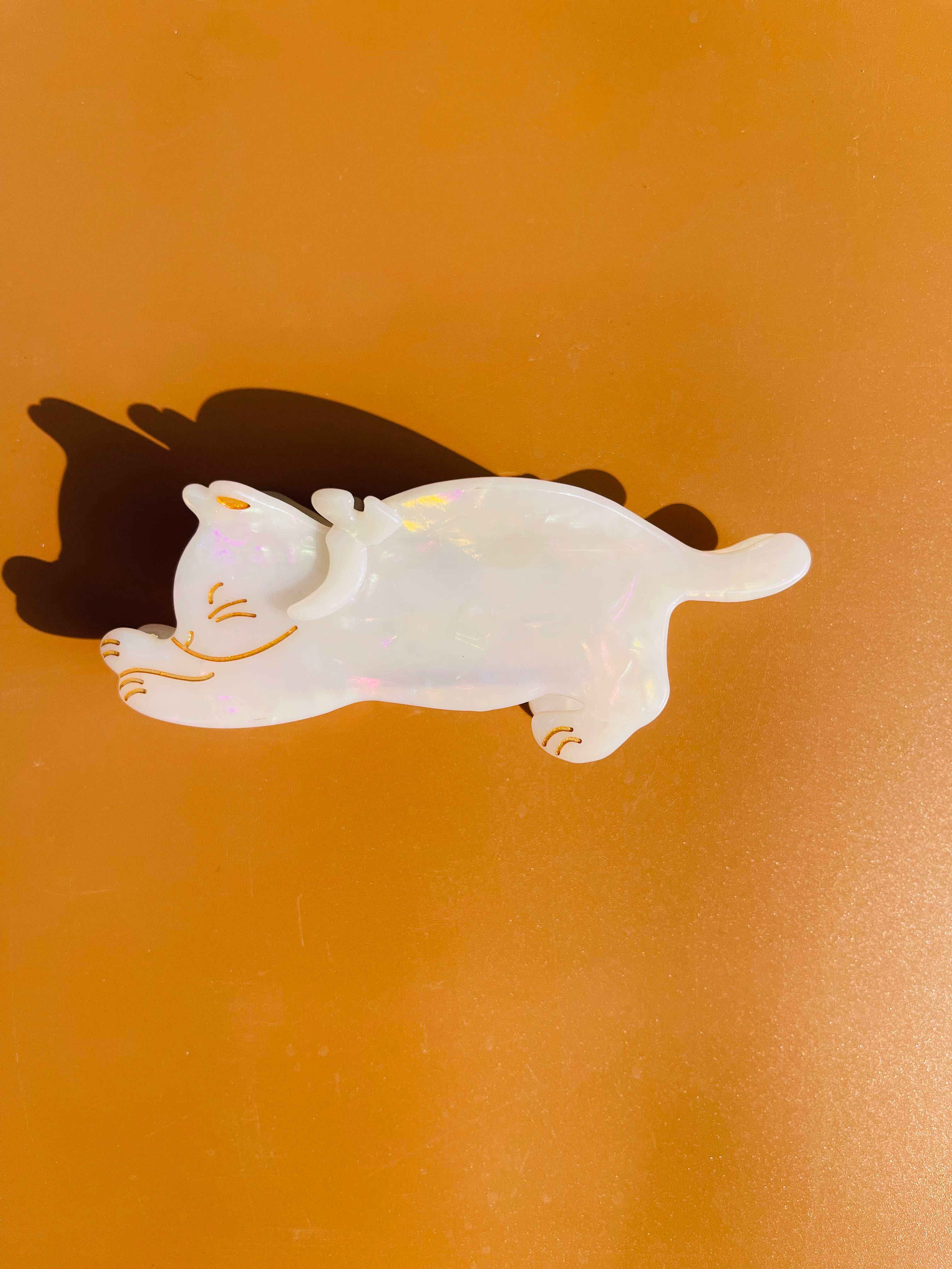 Strechy Cat Claw in Snow