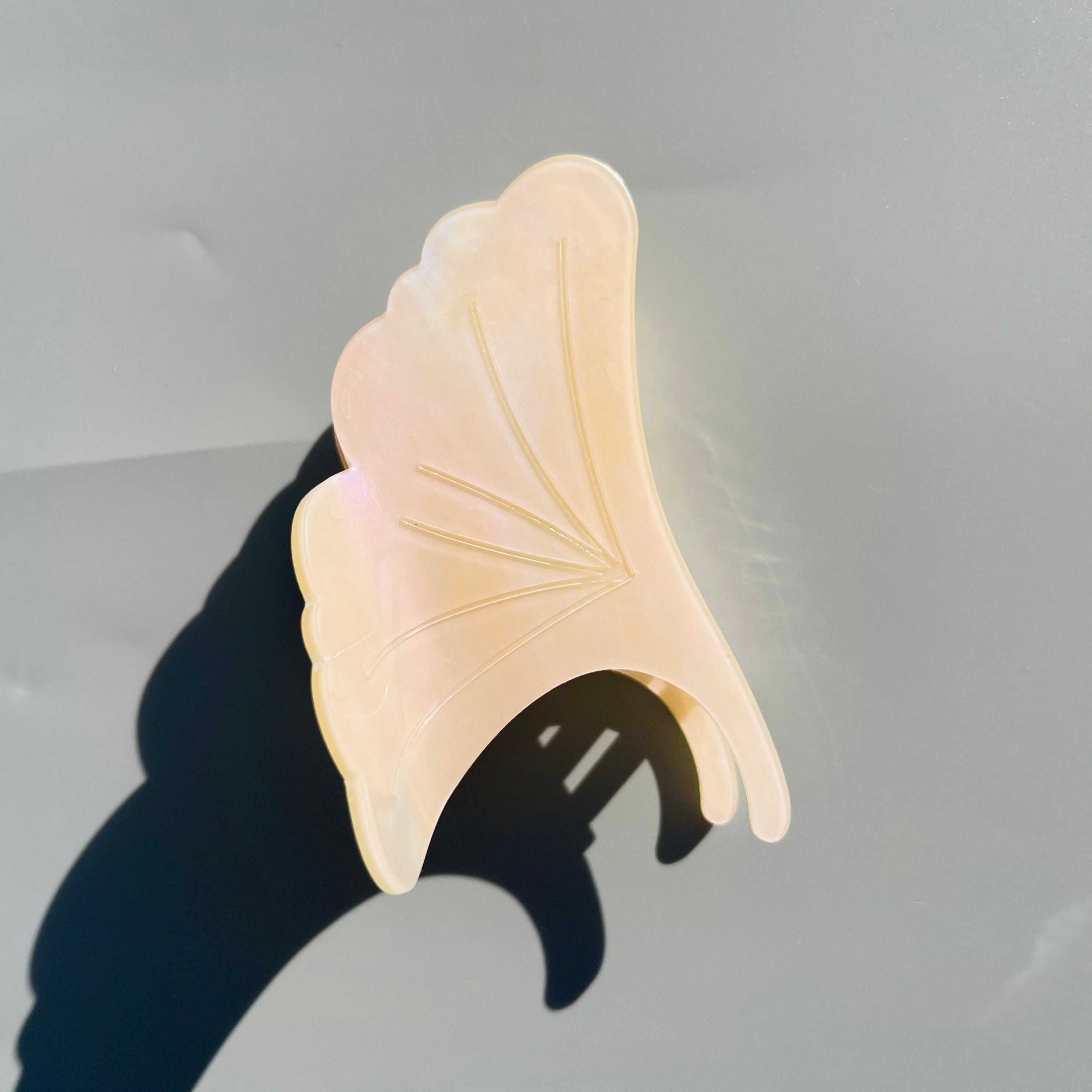 Ginkgo biloba claw within milk