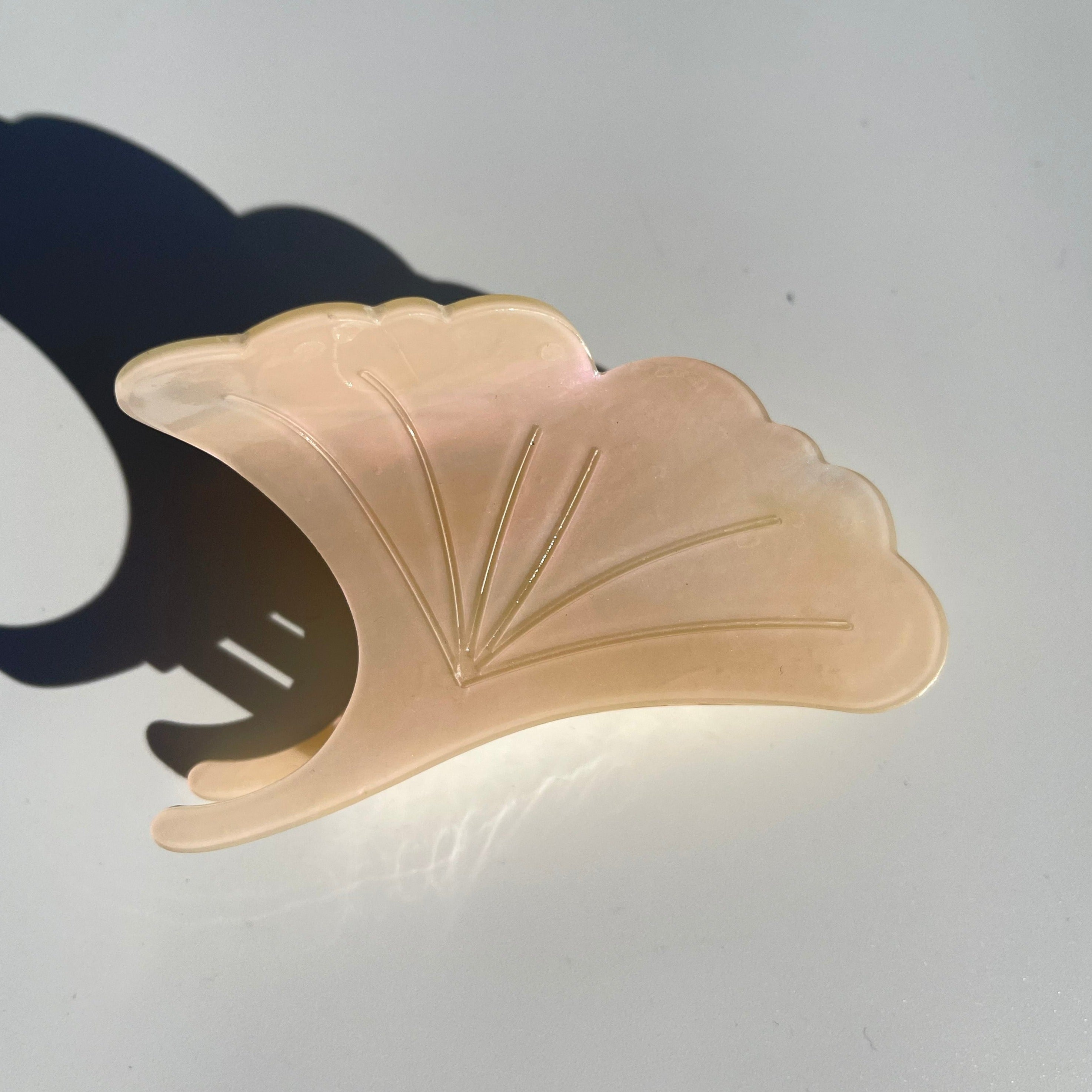 Ginkgo biloba claw within milk