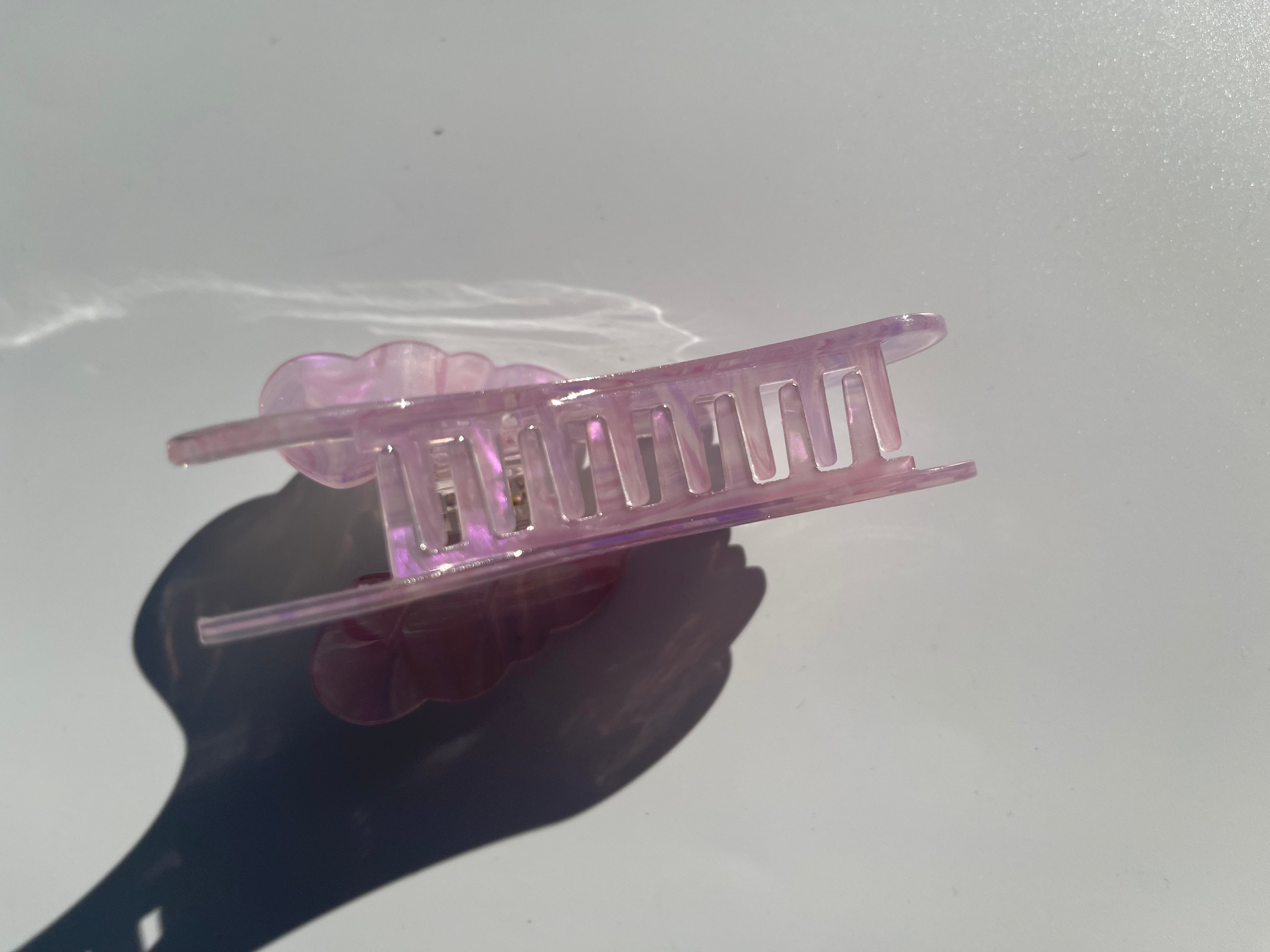 Ginkgo biloba claw within purple