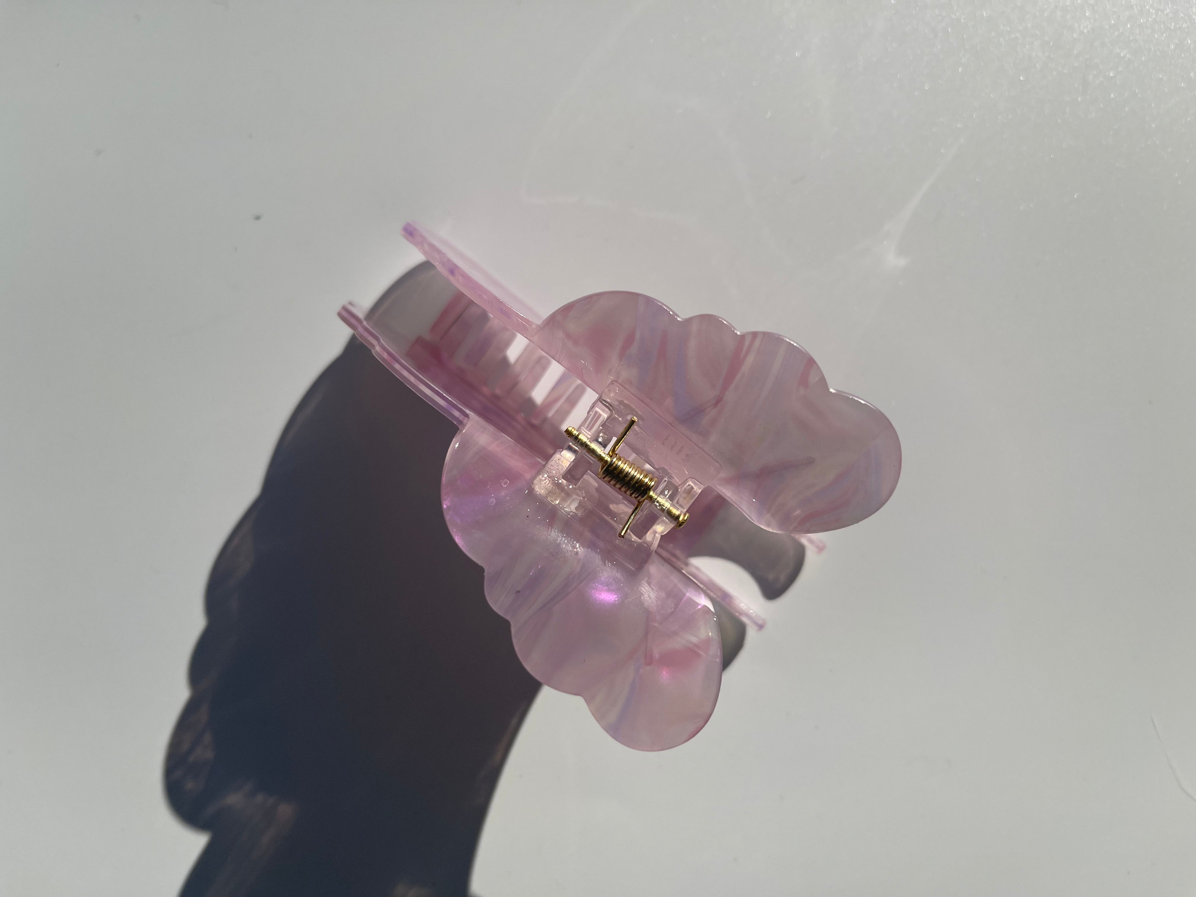 Ginkgo biloba claw within purple