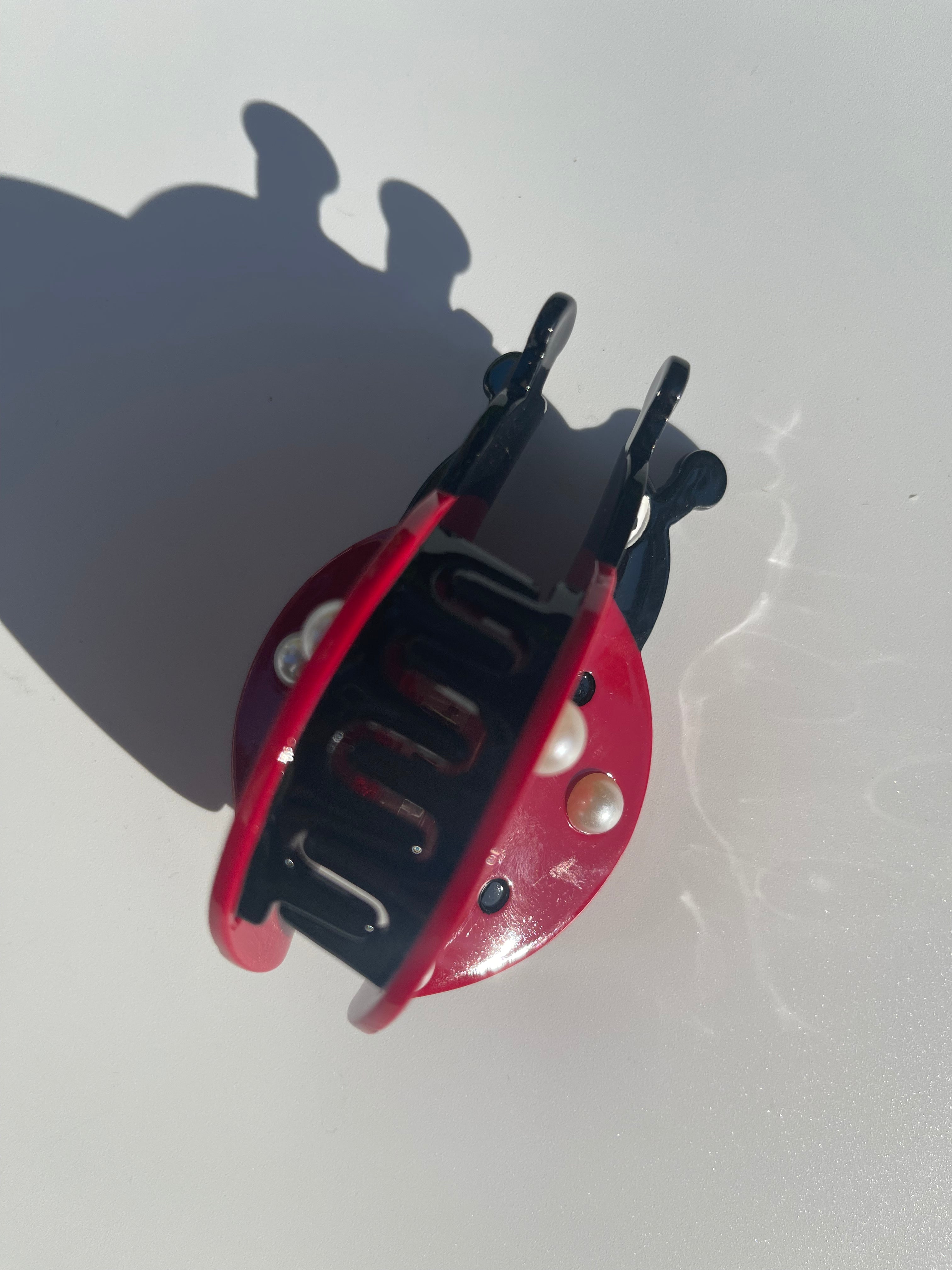 Ladybird Claw Within Brown-red