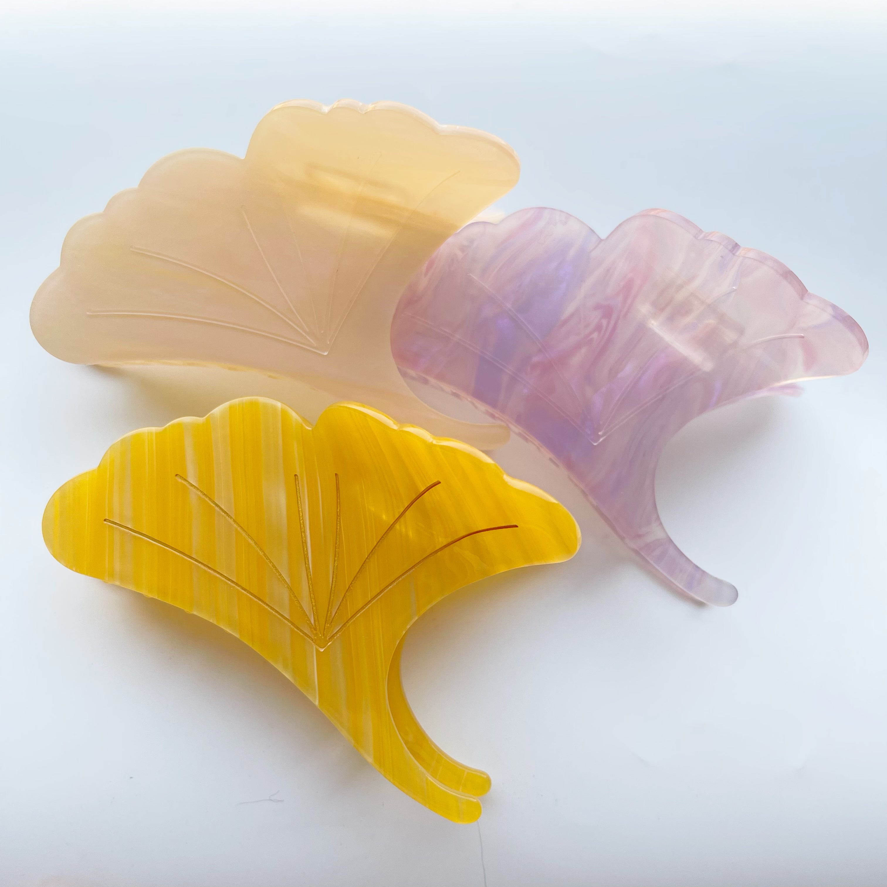 Ginkgo biloba claw within purple