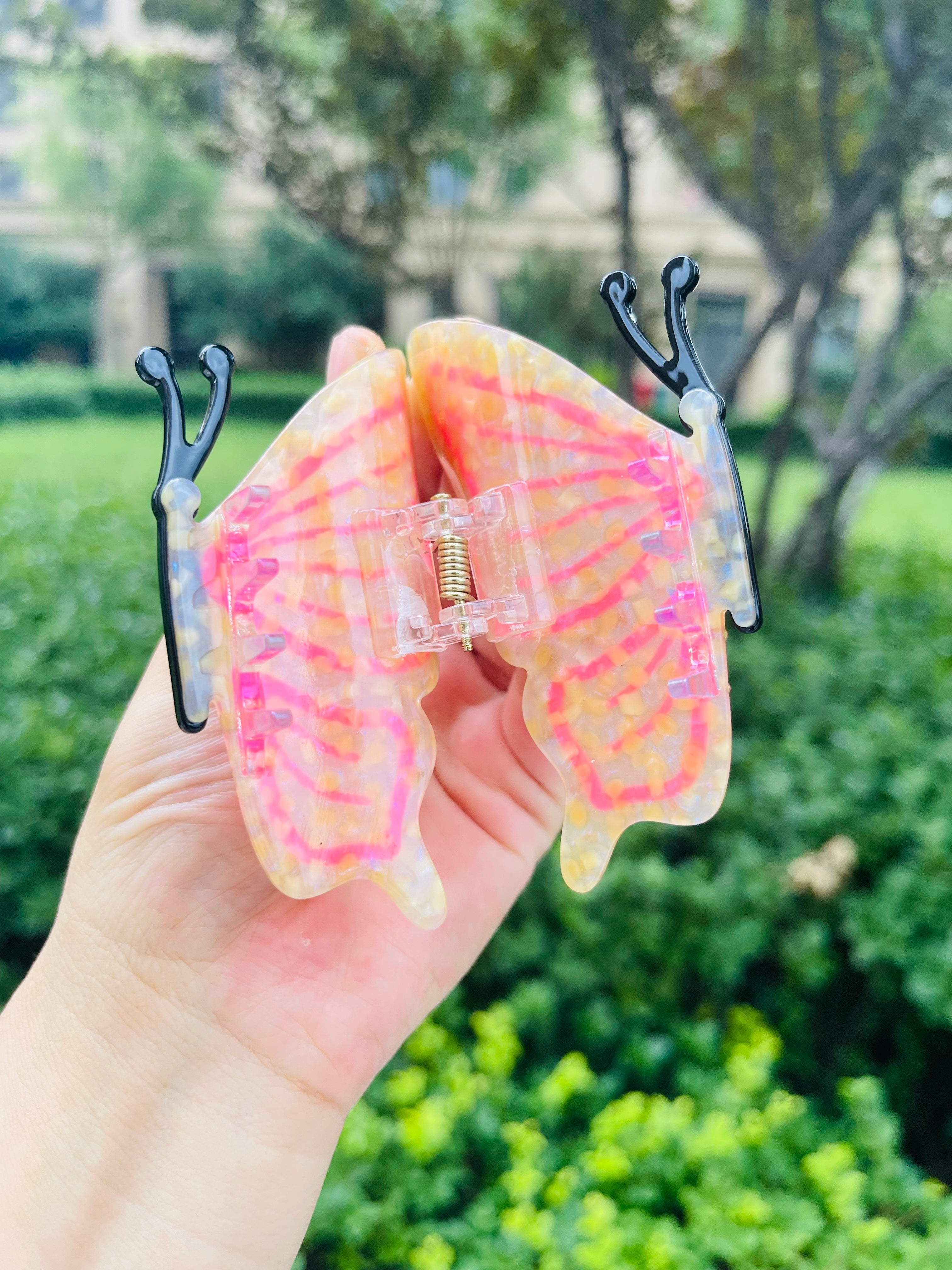 Comely Butterfly claw within Orange