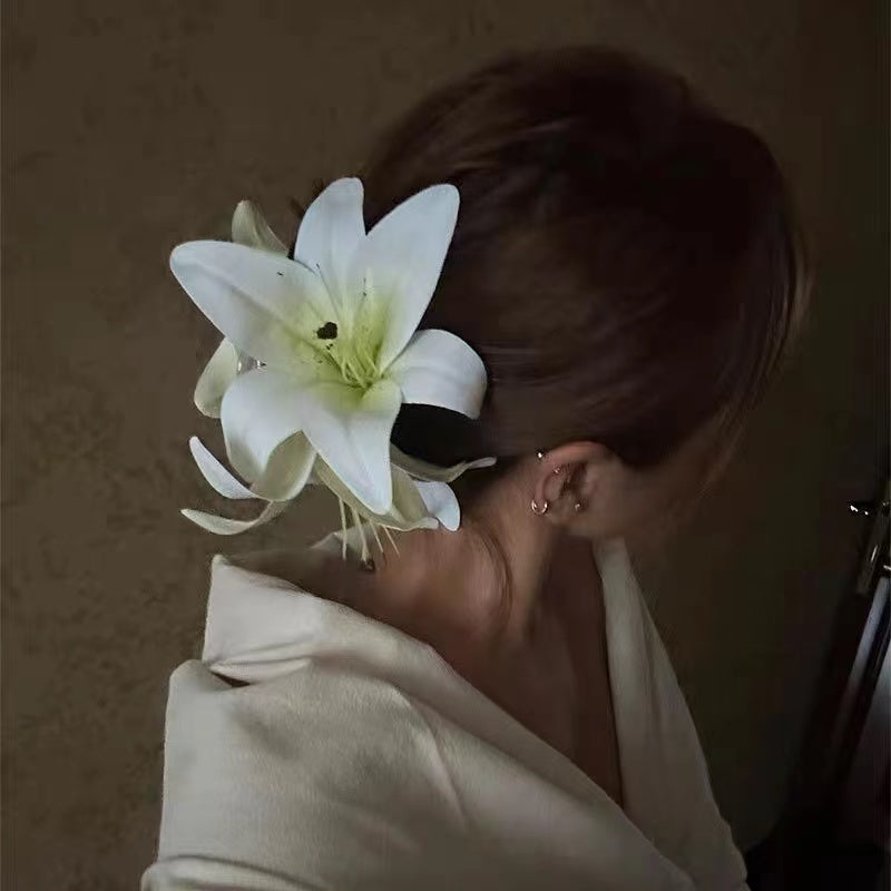 Super Large Lily Claw within white