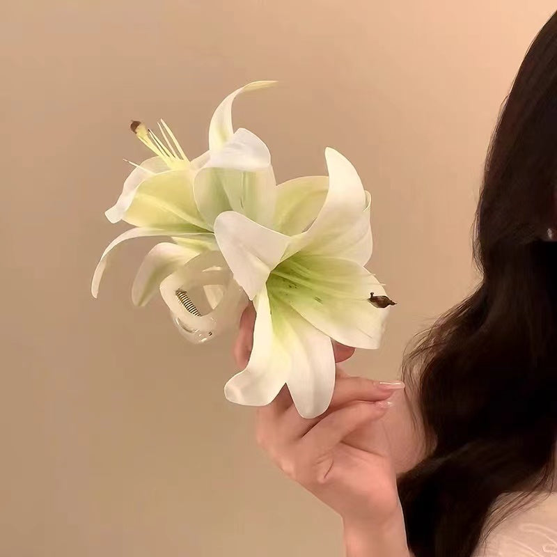 Super Large Lily Claw within white
