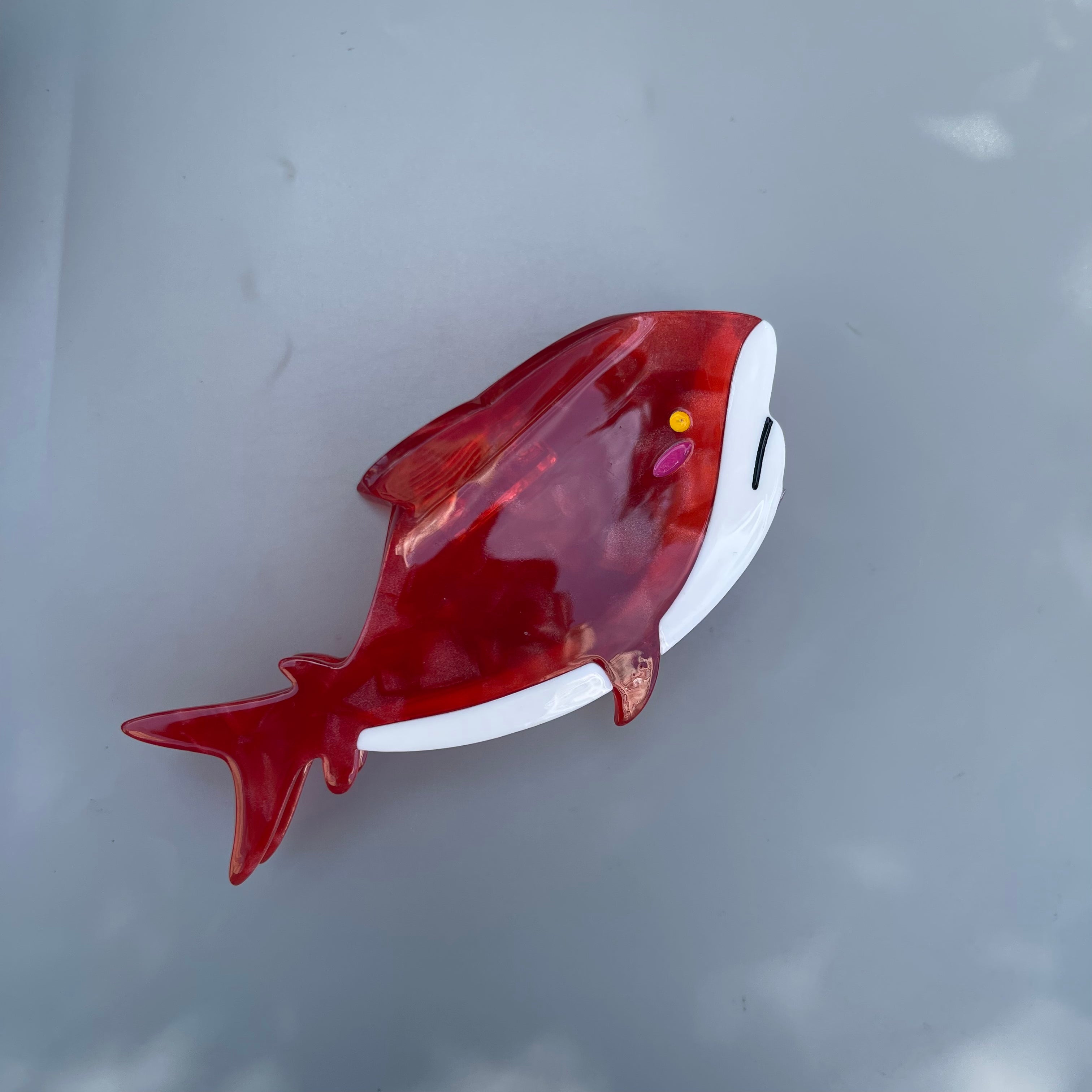 Shy whale within Red