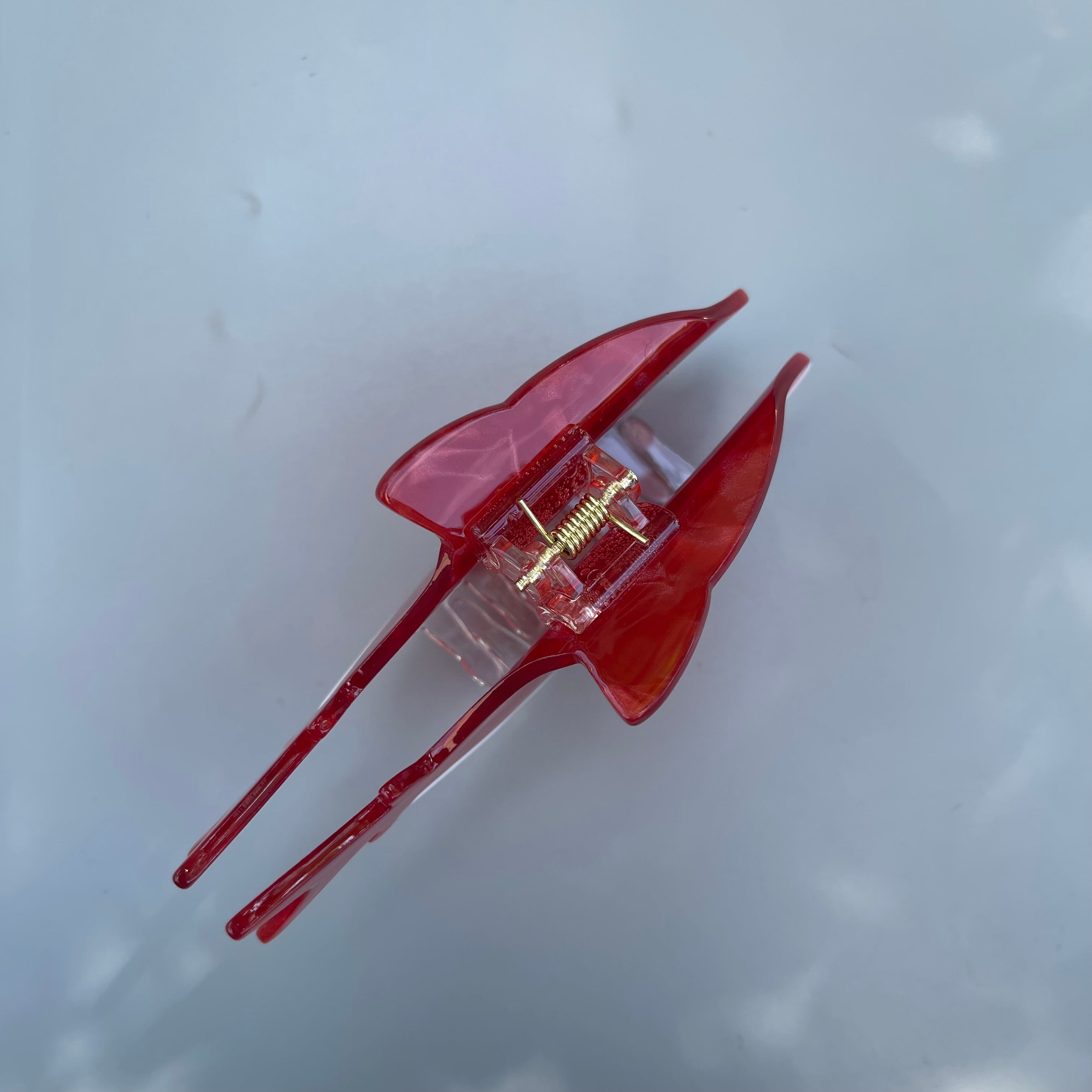 Shy whale within Red