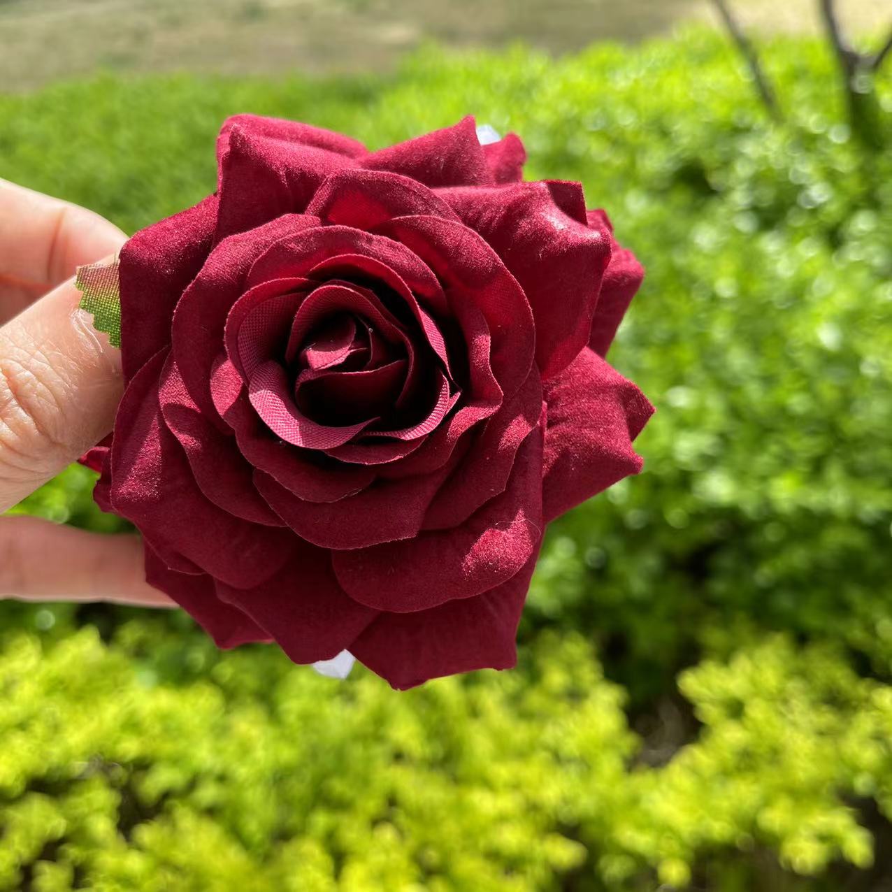Dark Red Rose Hair Claw