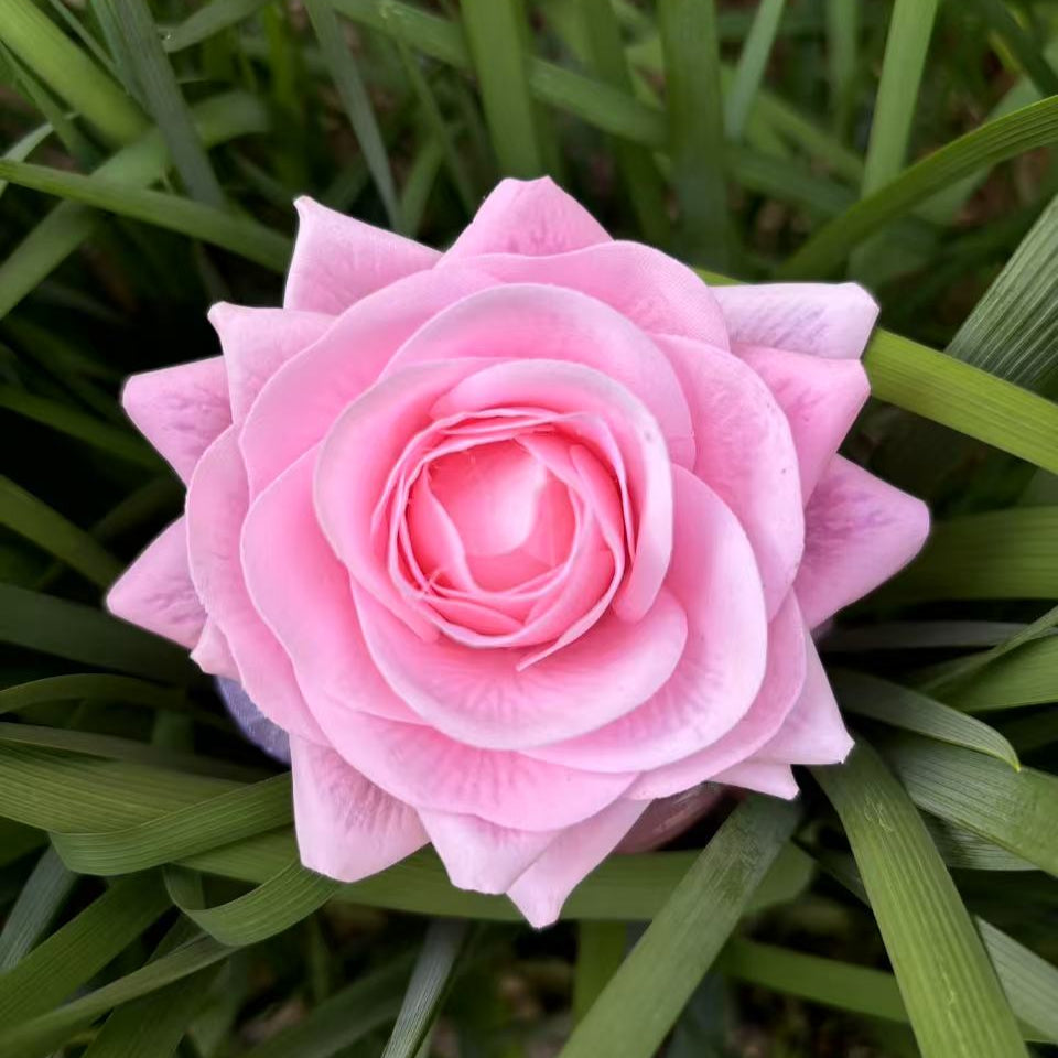 Rose Hair Claw in Pink