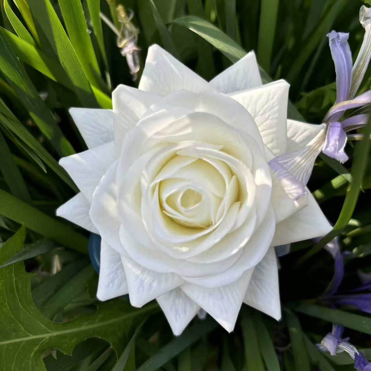 Rose Hair Claw in White