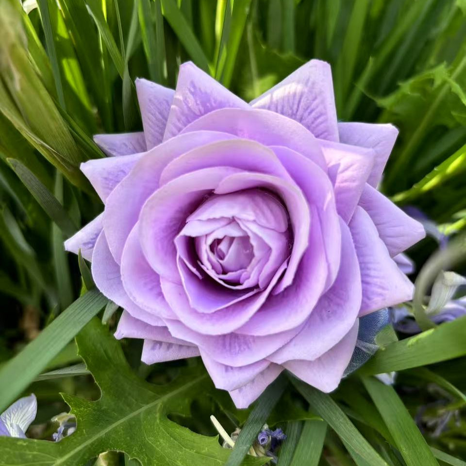 Rose Hair Claw in Light Purple