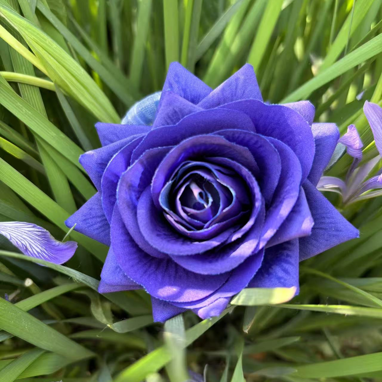 Rose Hair Claw in Dark Purple