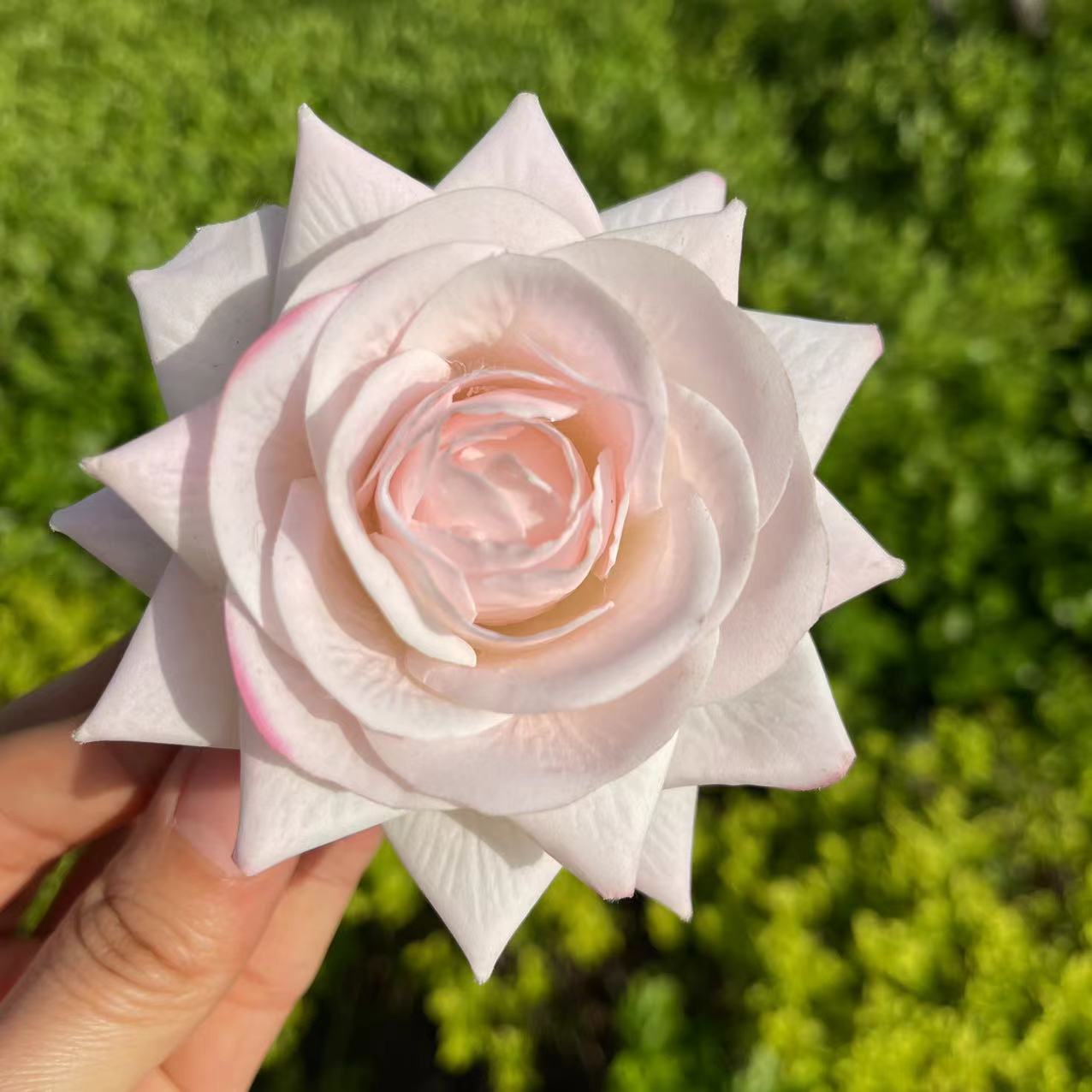 Rose Hair Claw in Light Pink