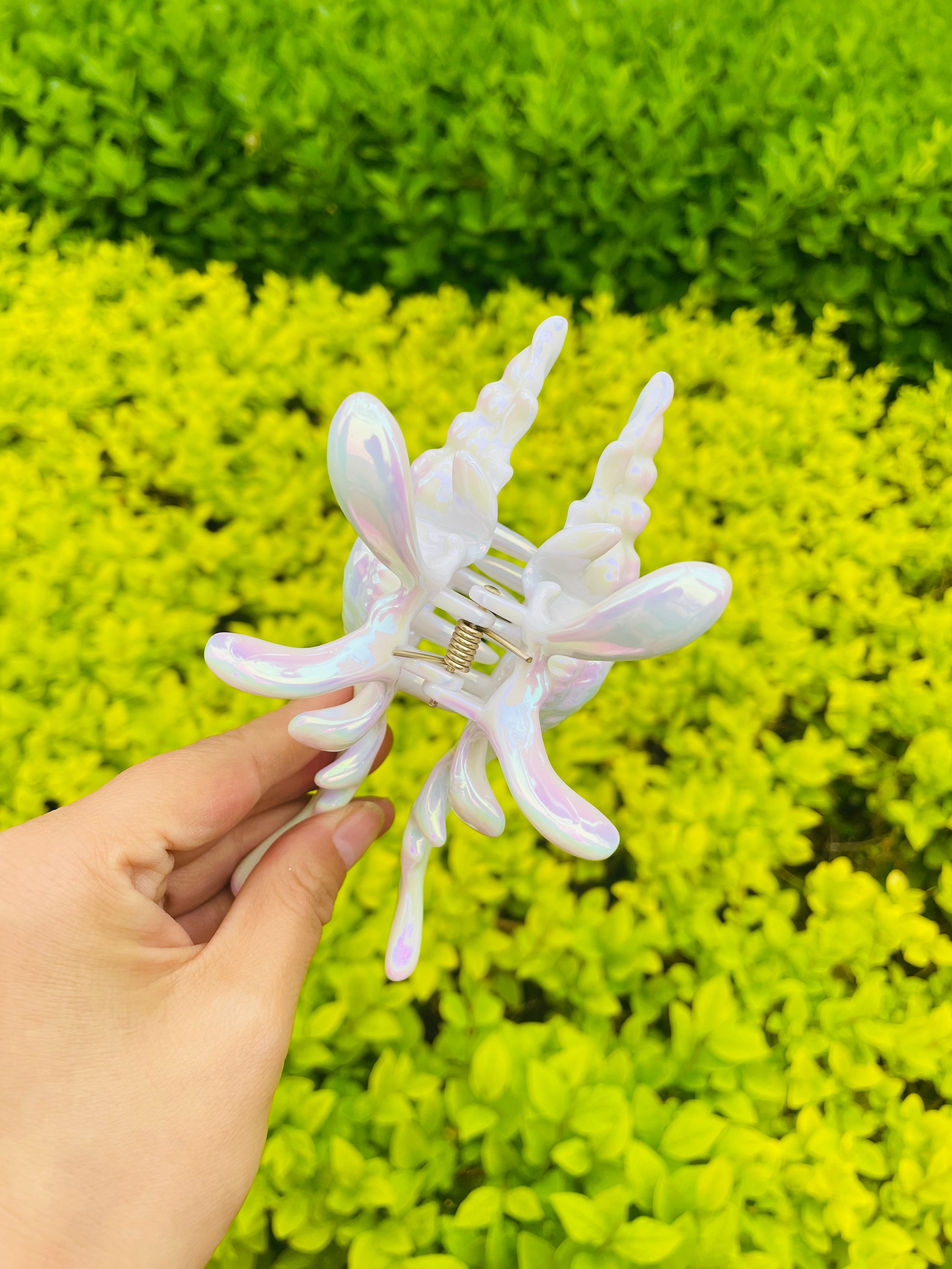 New Process Conch Claw in Pearl