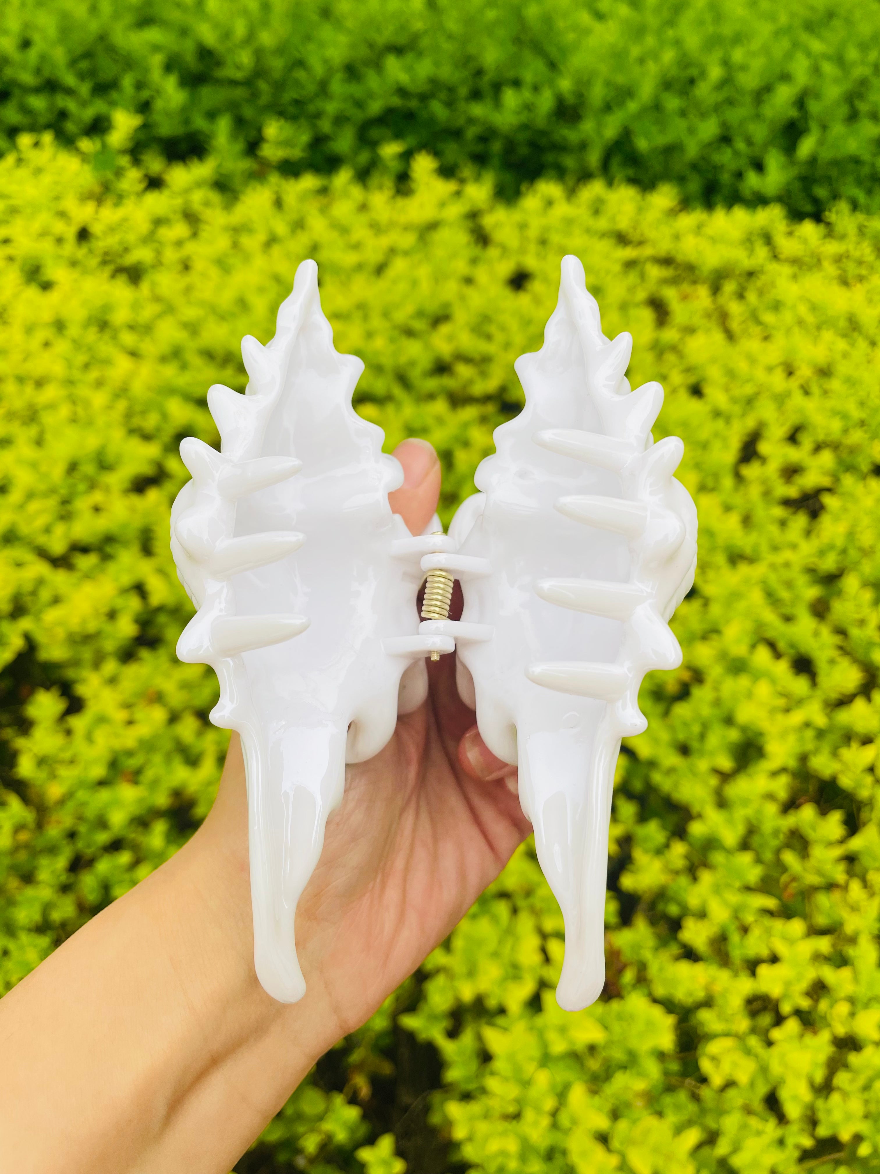 New Process Conch Claw in Snow