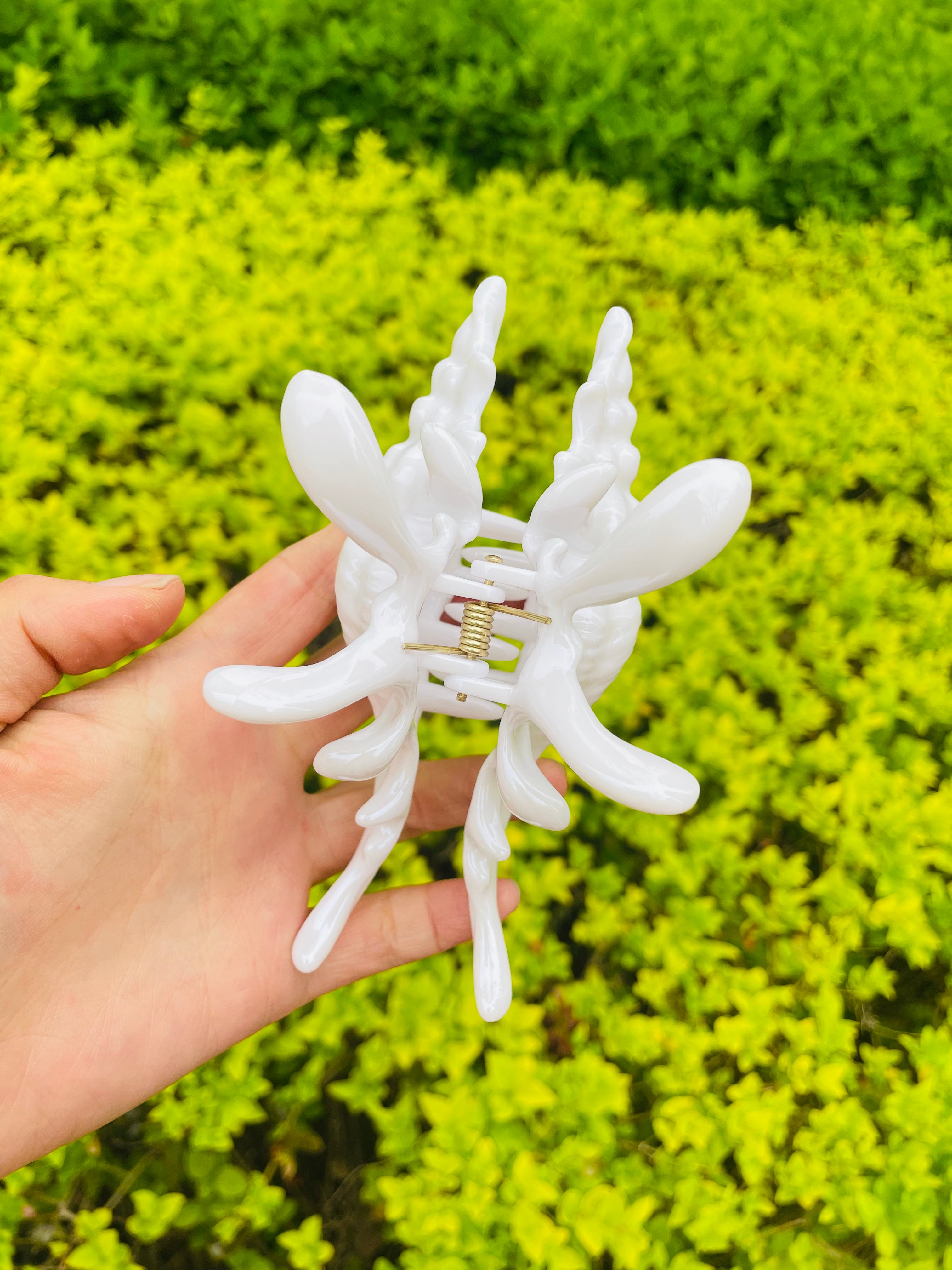 New Process Conch Claw in Snow