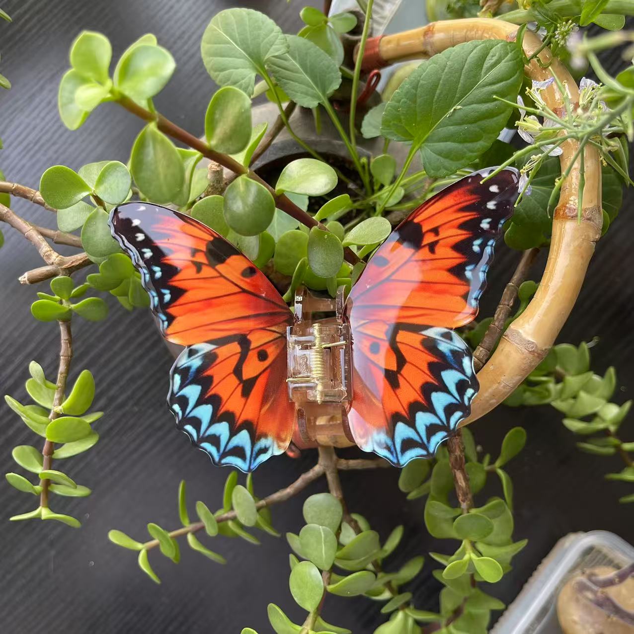 Vanessa butterfly hair claw in Orange