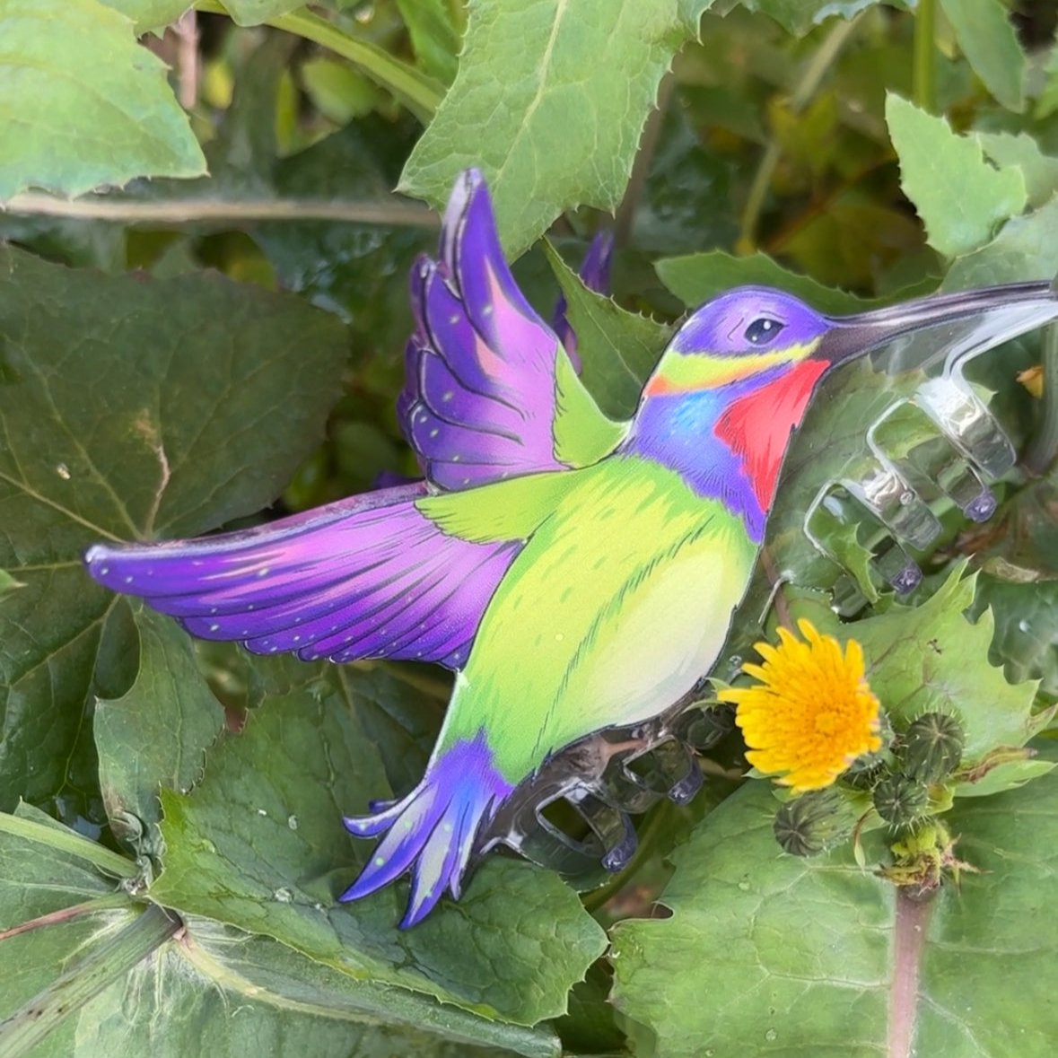 Hummingbird hair claw