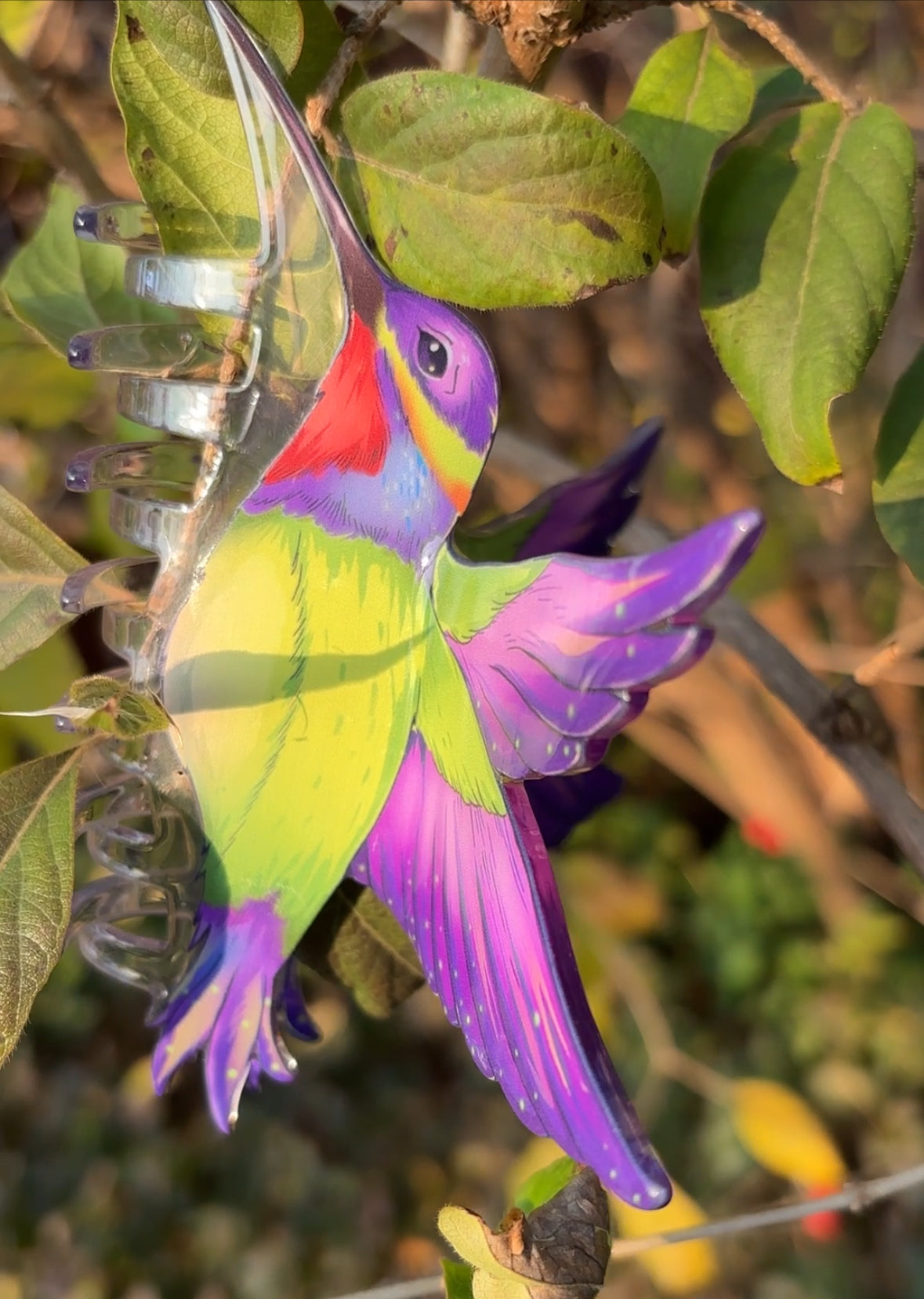Hummingbird hair clawclip
