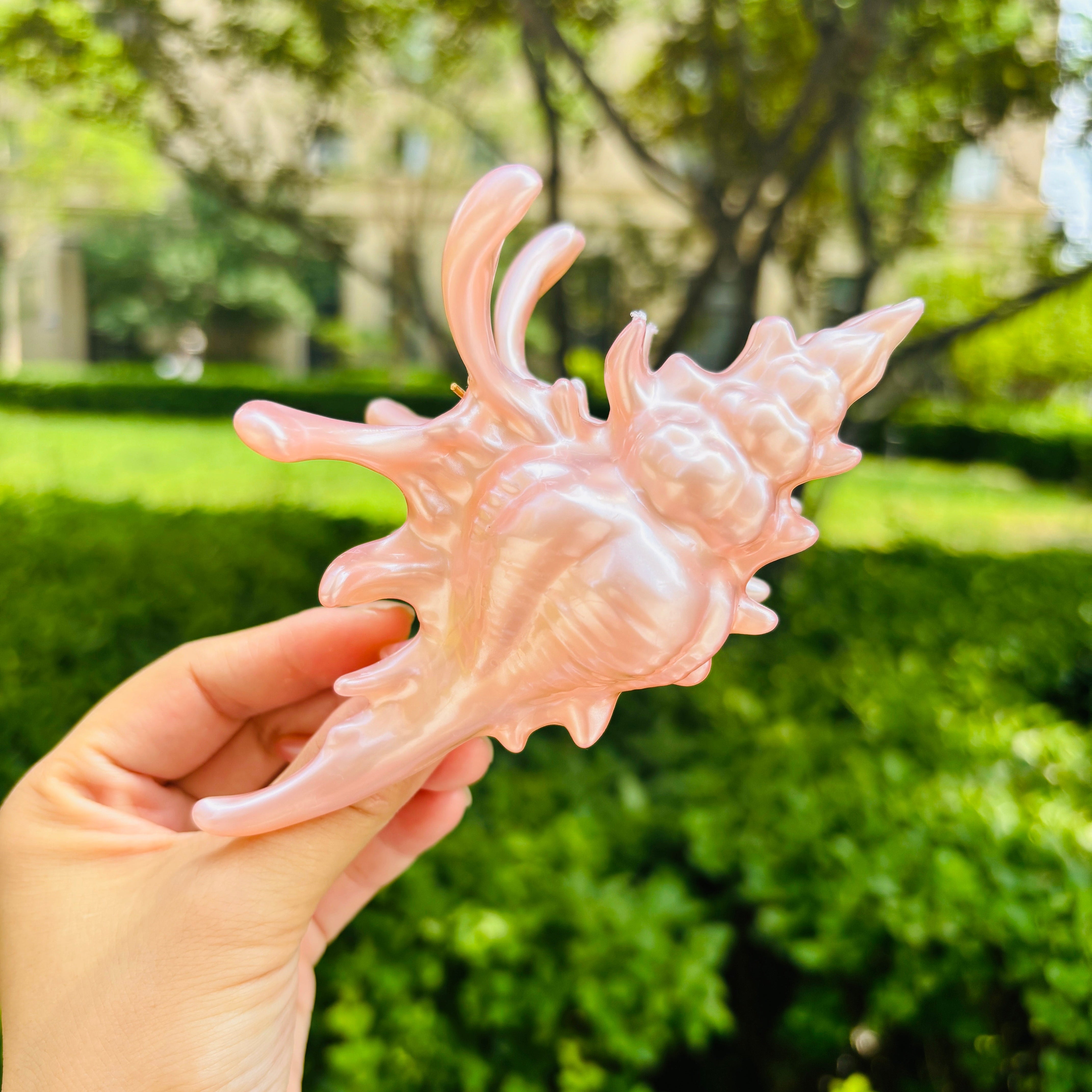 New Process Conch Claw in pink