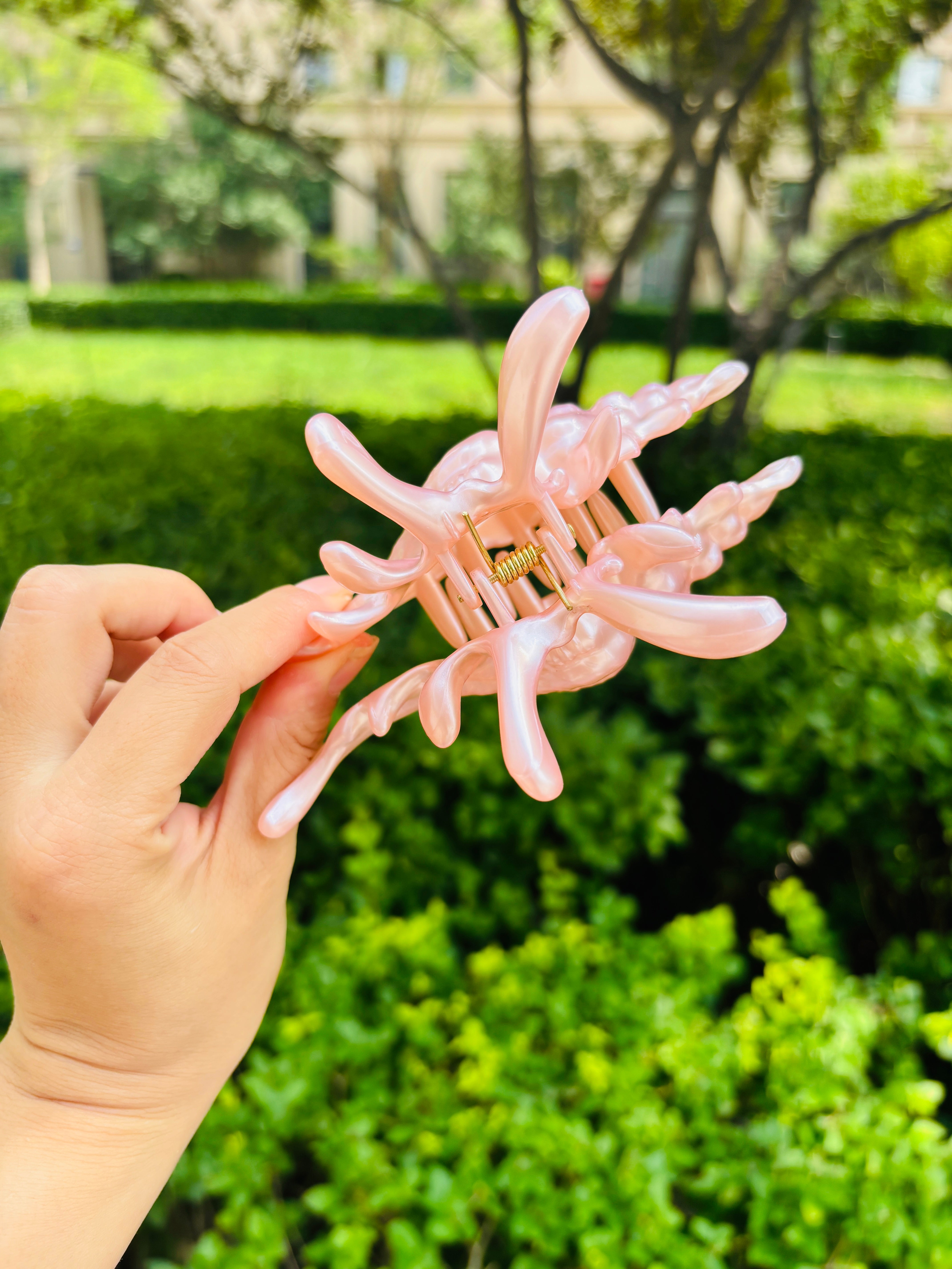 New Process Conch Claw in pink