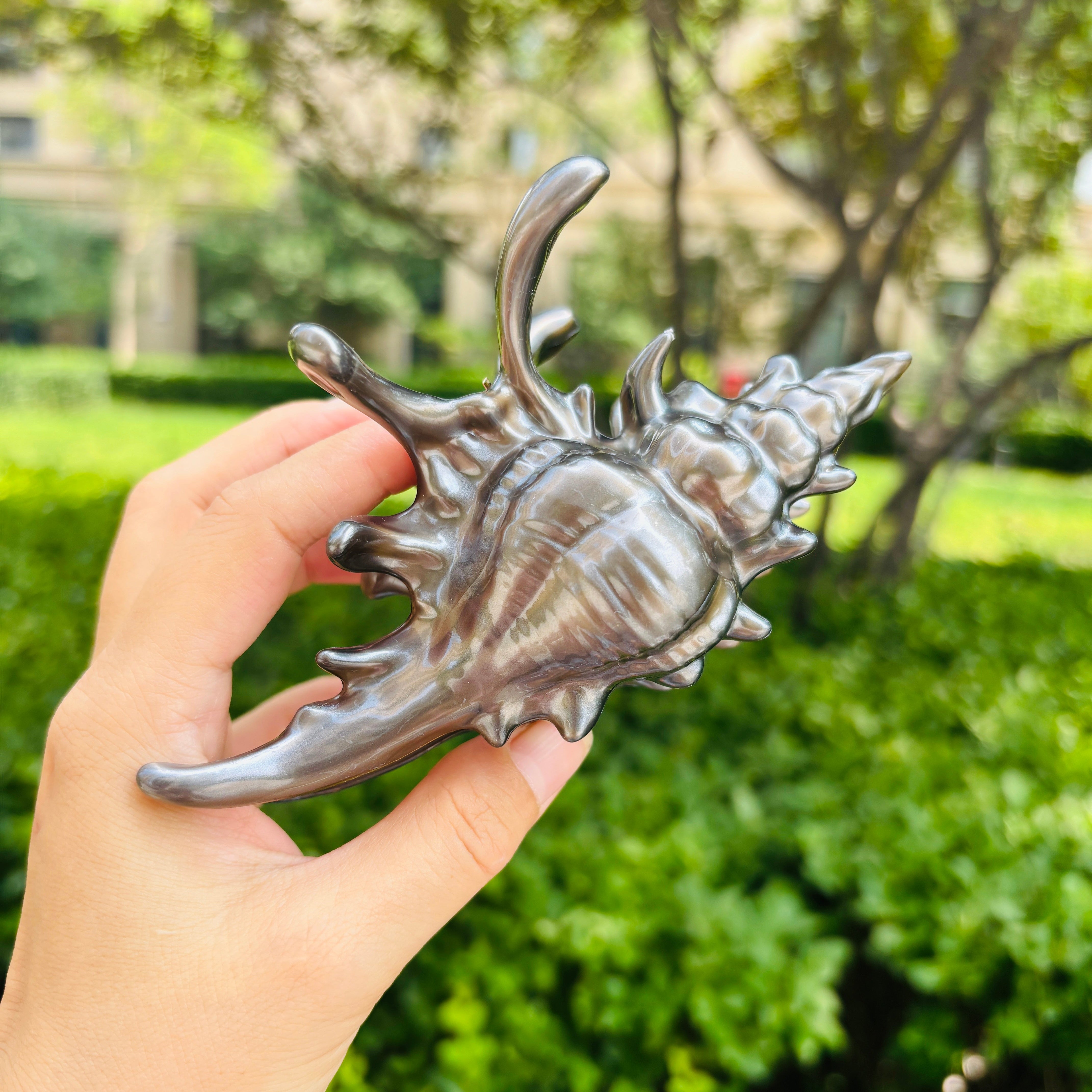 New Process Conch Claw in Black