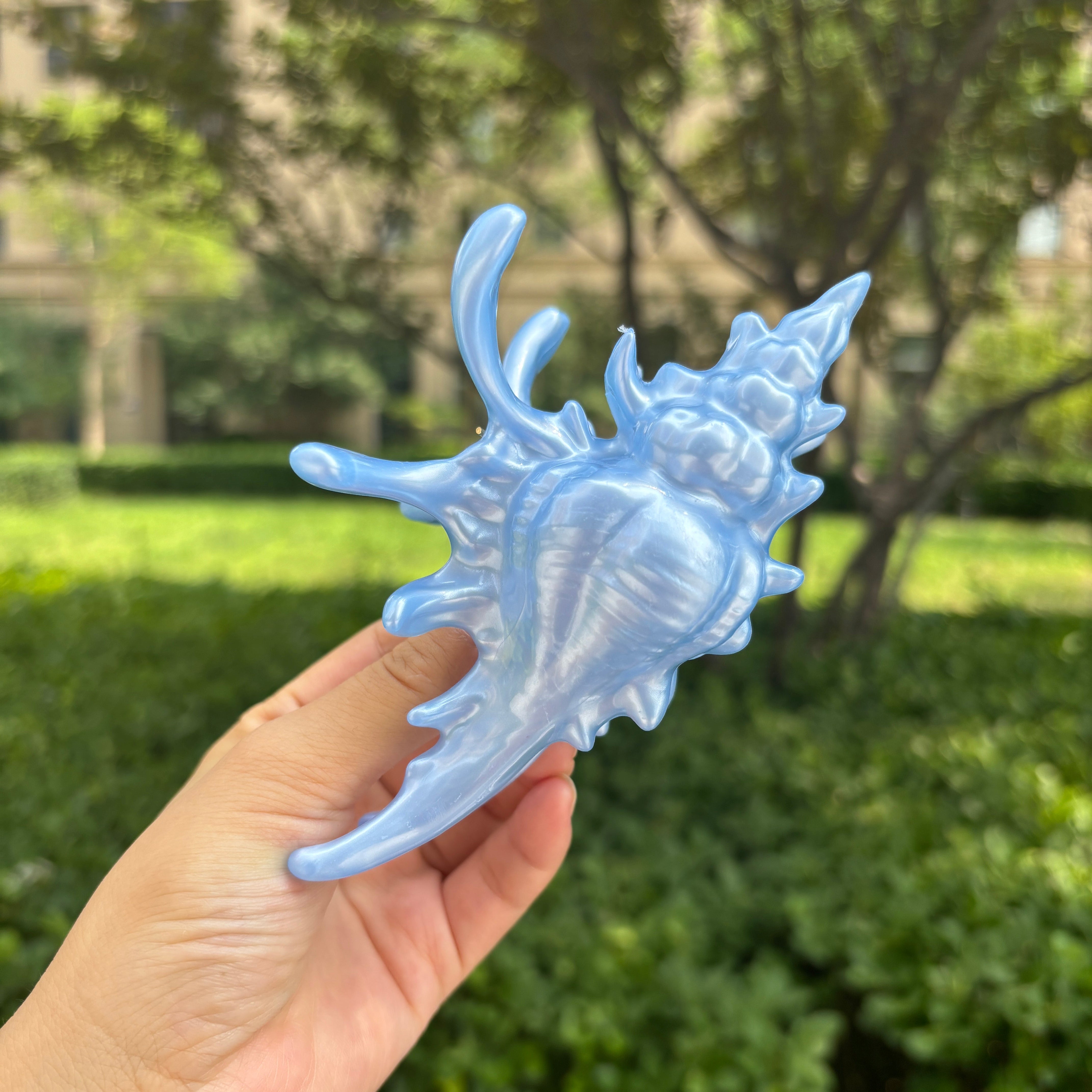 New Process Conch Claw in Sky