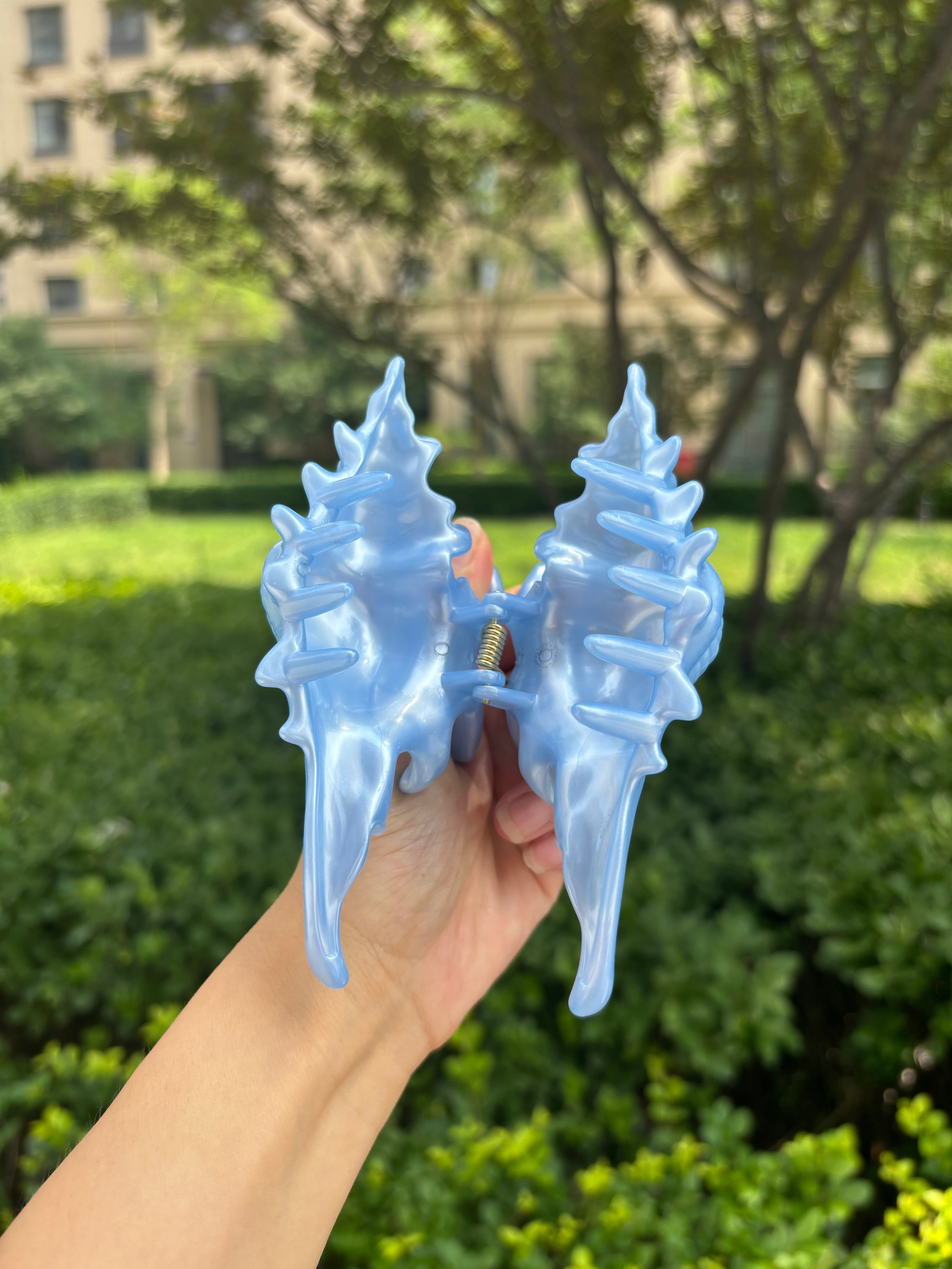 New Process Conch Claw in Sky