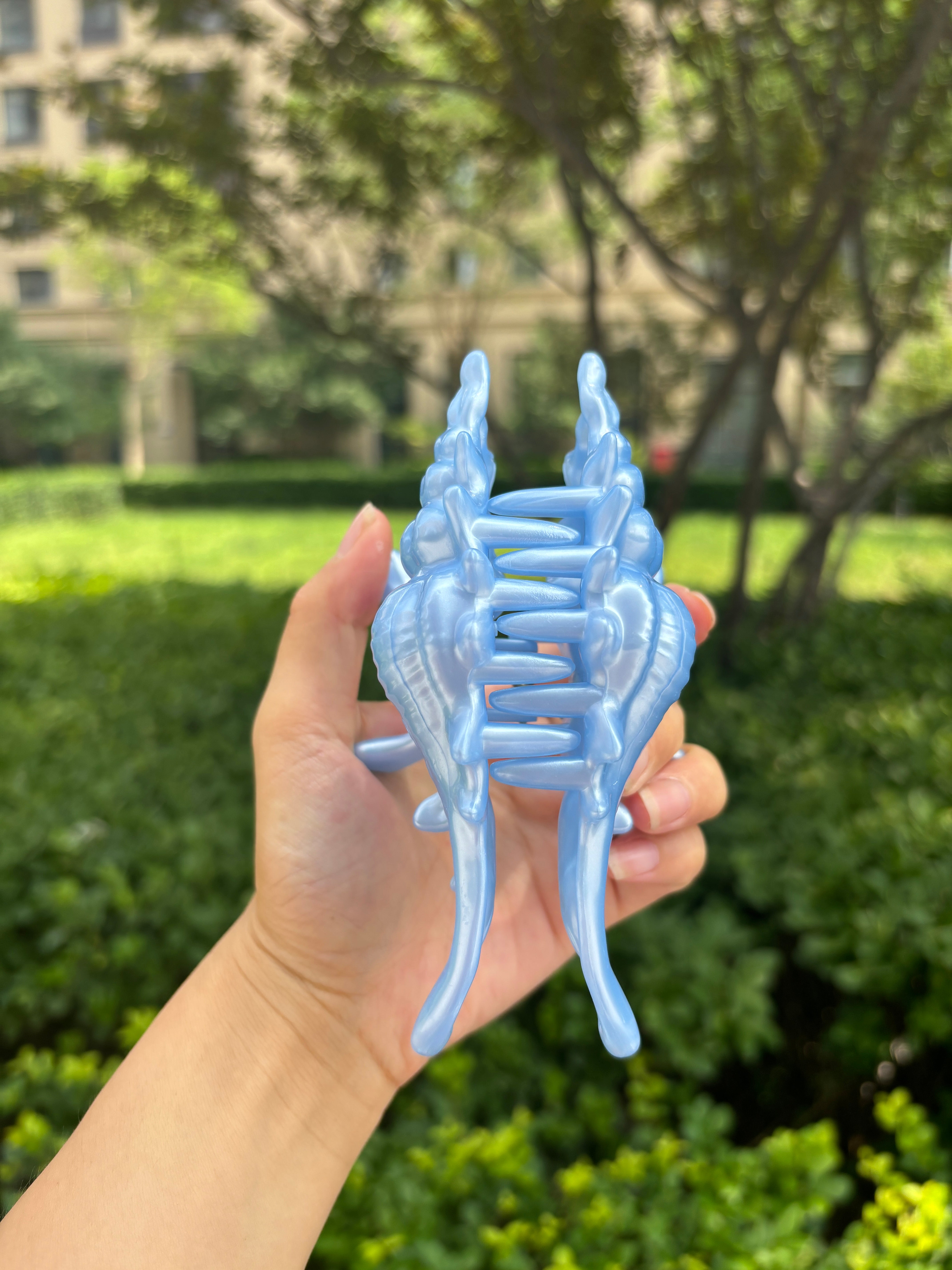 New Process Conch Claw in Sky