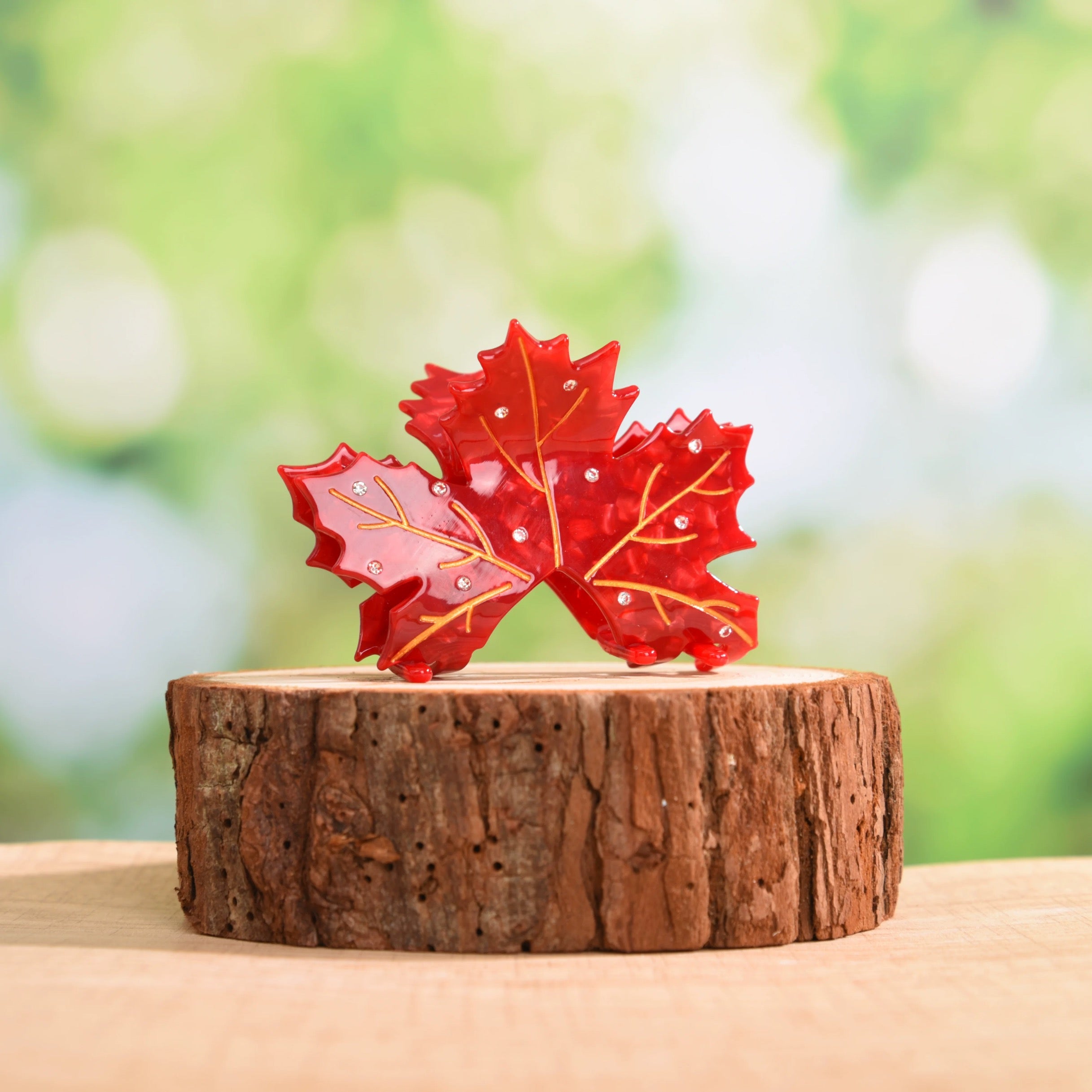 Acer rubrum claw within Red