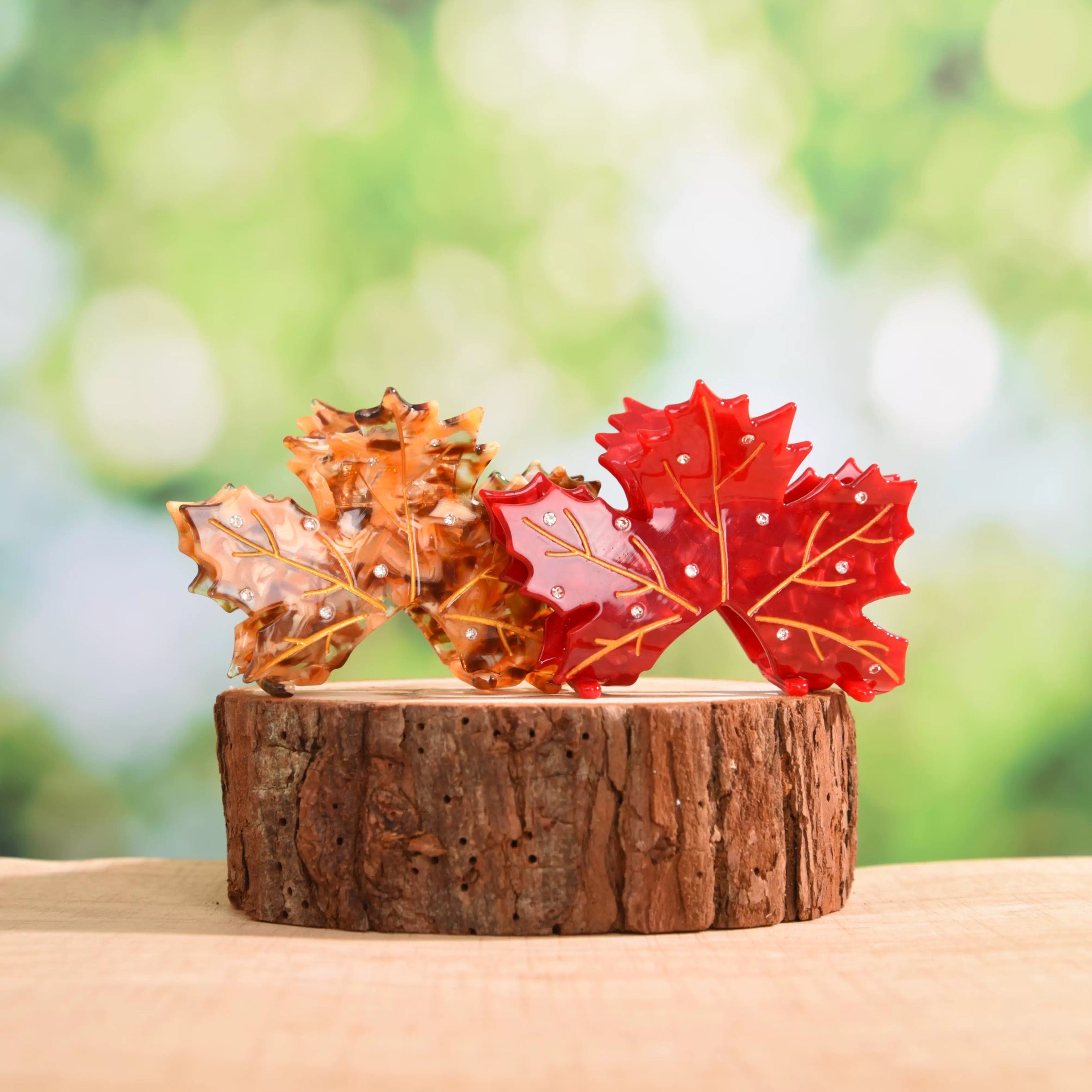 Acer rubrum claw within Red